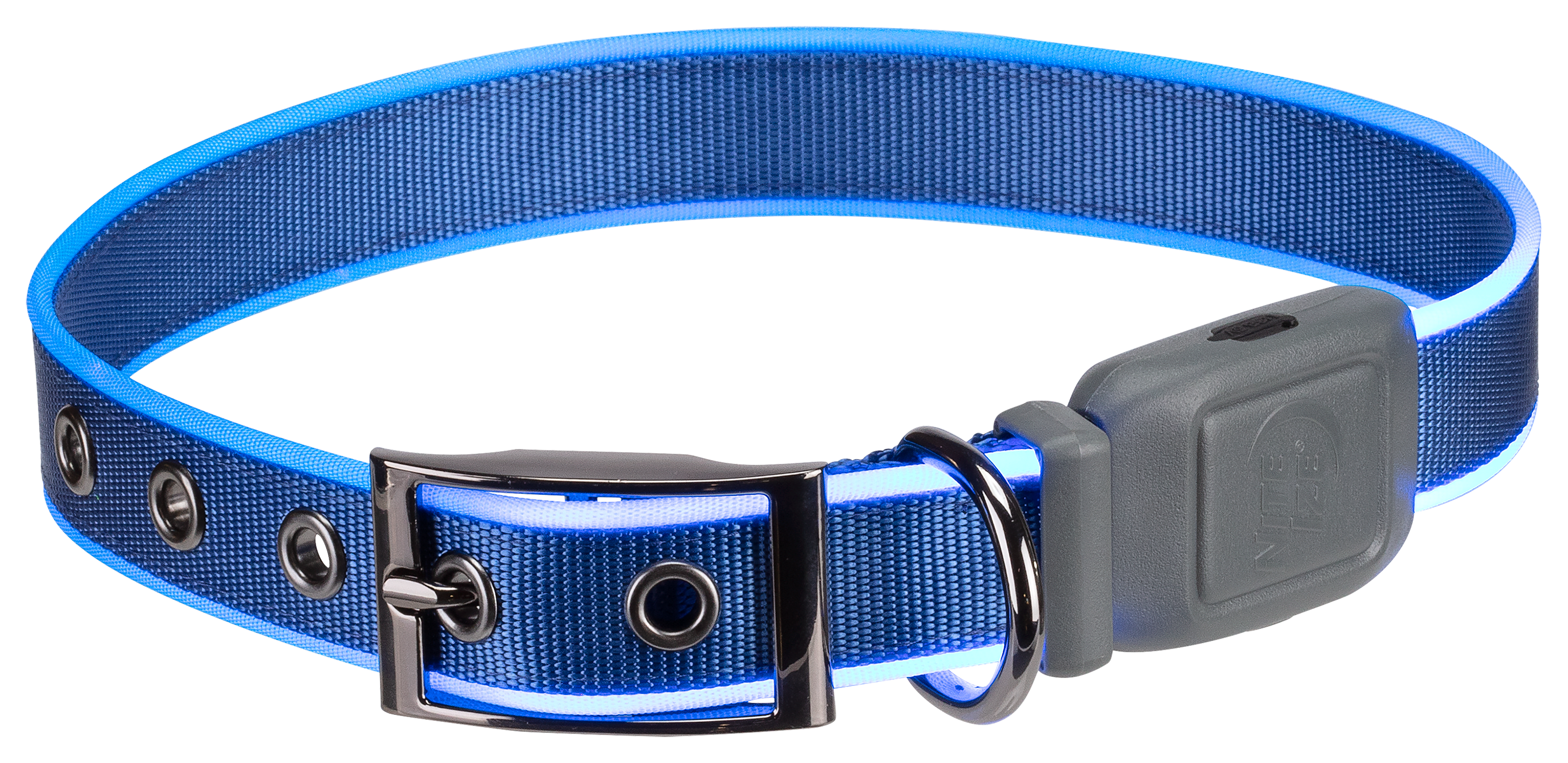 Nite Ize NiteDog Rechargeable LED Dog Collar - Blue - X-Large - Nite Ize