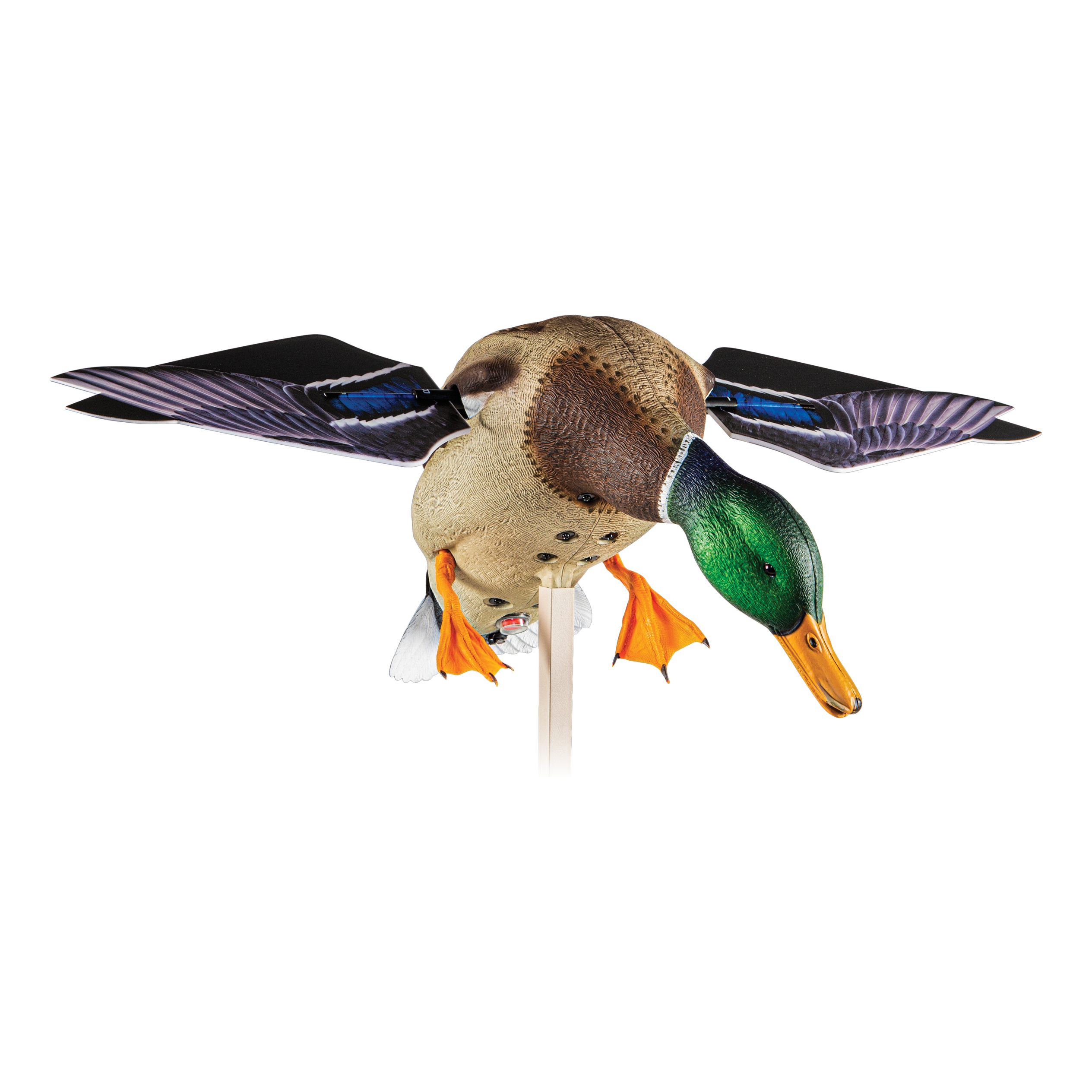 Motorized Duck Decoy with Remote