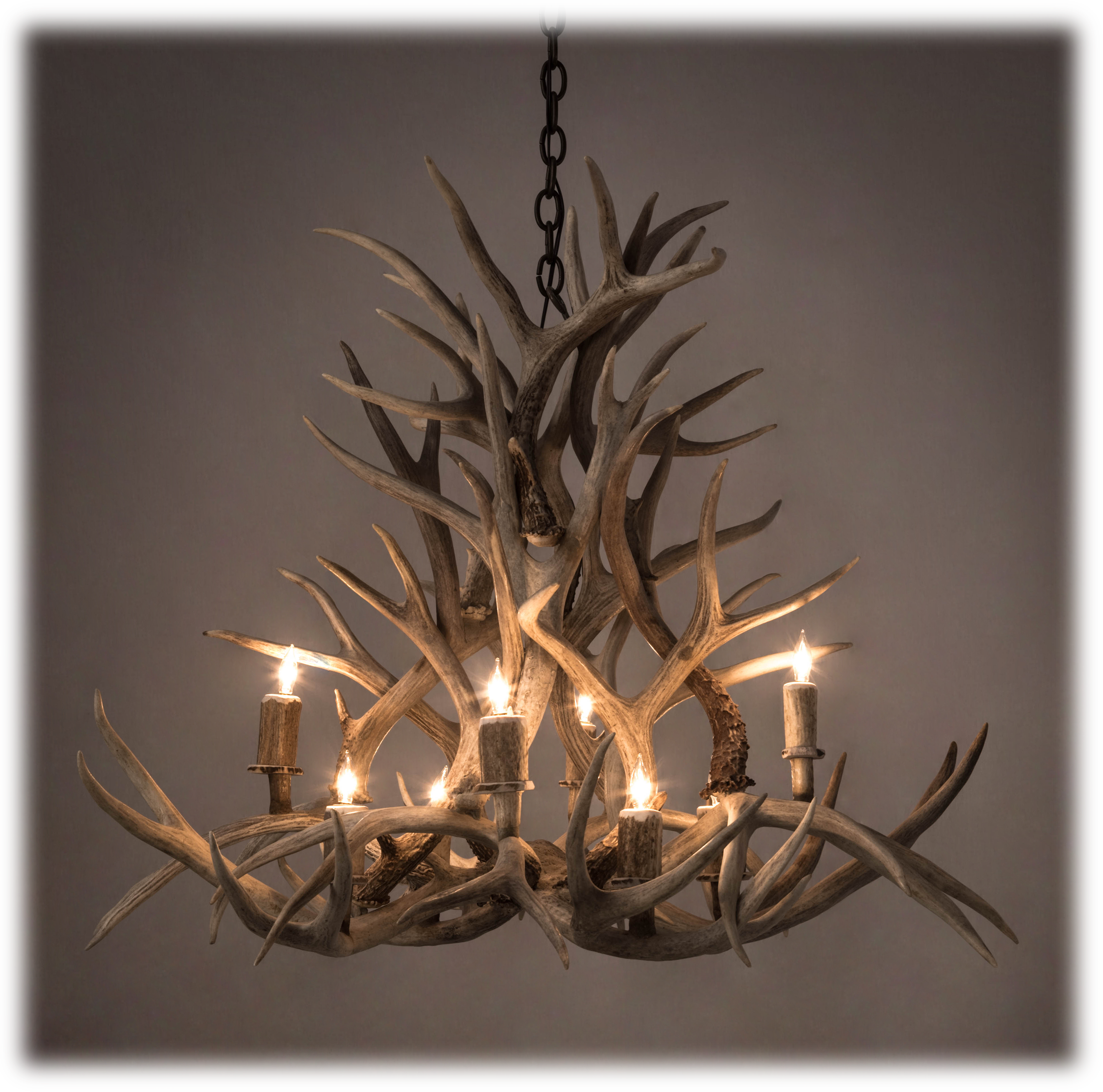 Image of Antlerworx Mule Deer Antler 8-Light Chandelier - Natural Brown