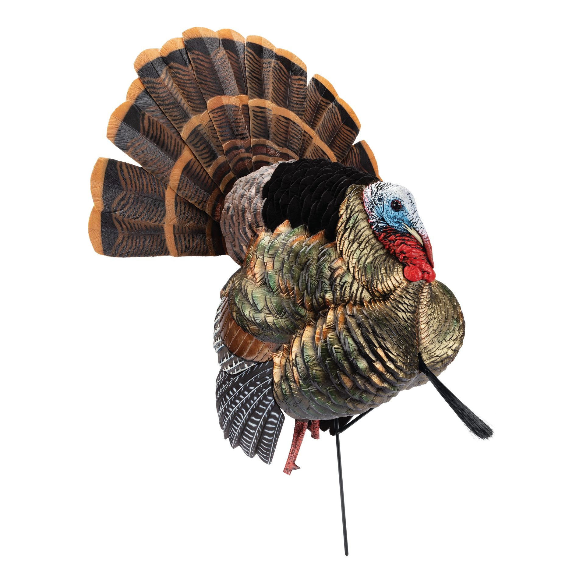 Avian-X HDR Heavy-Duty Realism Full-Body Strutter Turkey Decoy