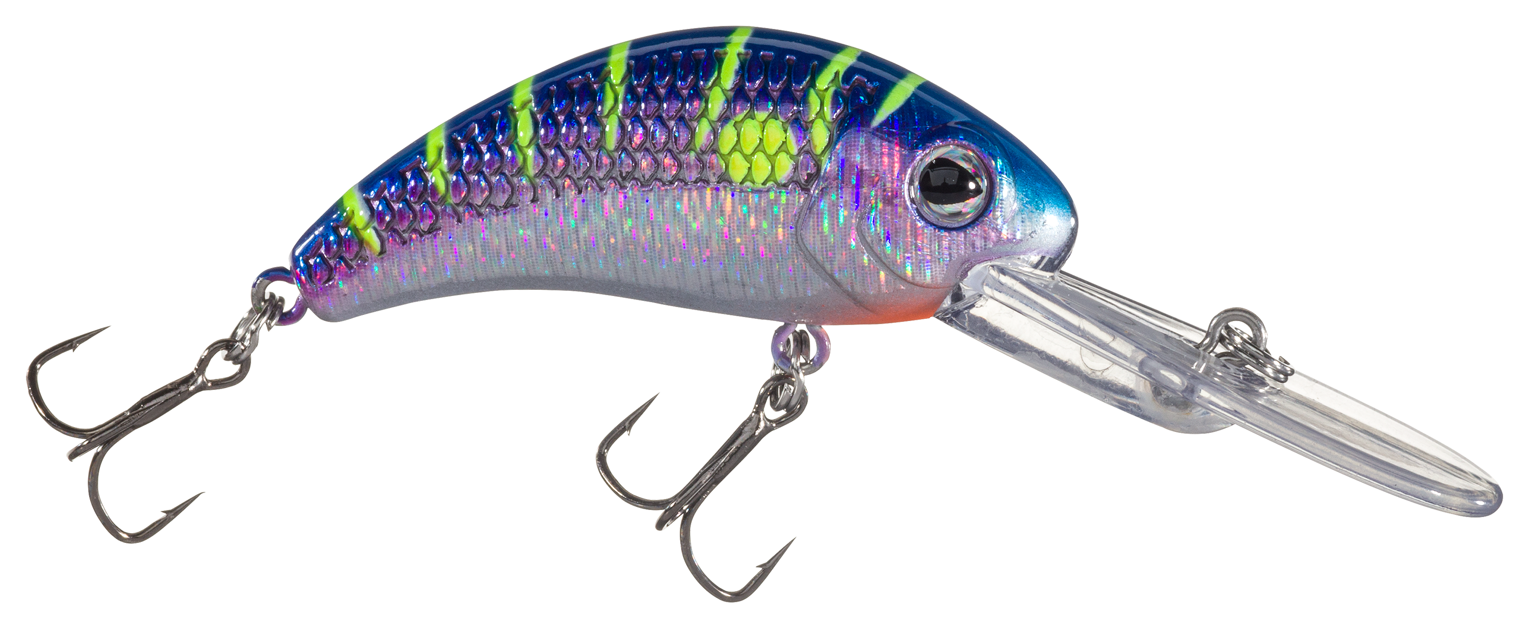 Walleye Nation Boogie Shad Crankbait - 2 - 1/4 oz. - Purple Tiger