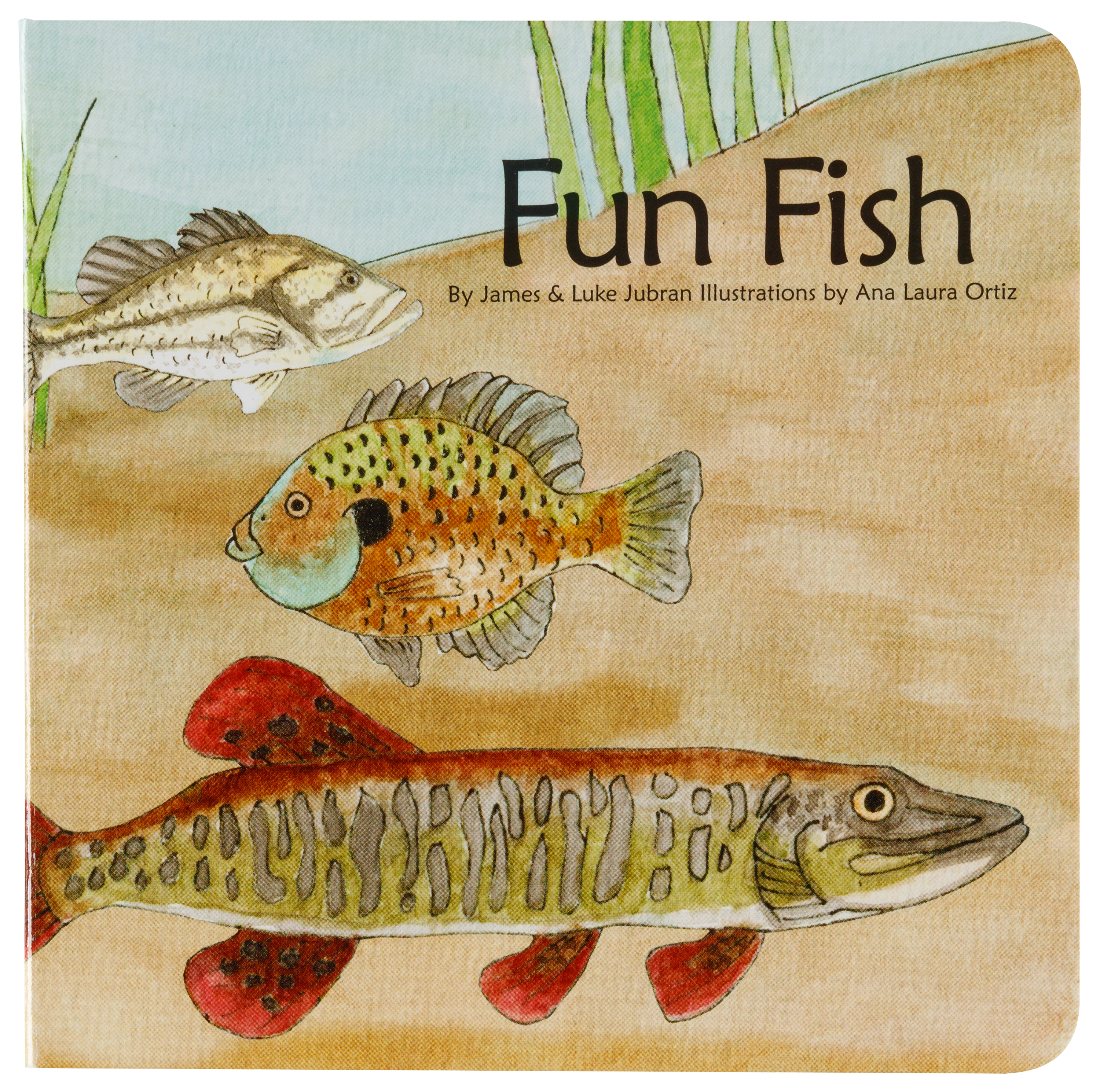 Fun Fish Board Book for Kids by James Lubran and Luke Jubran