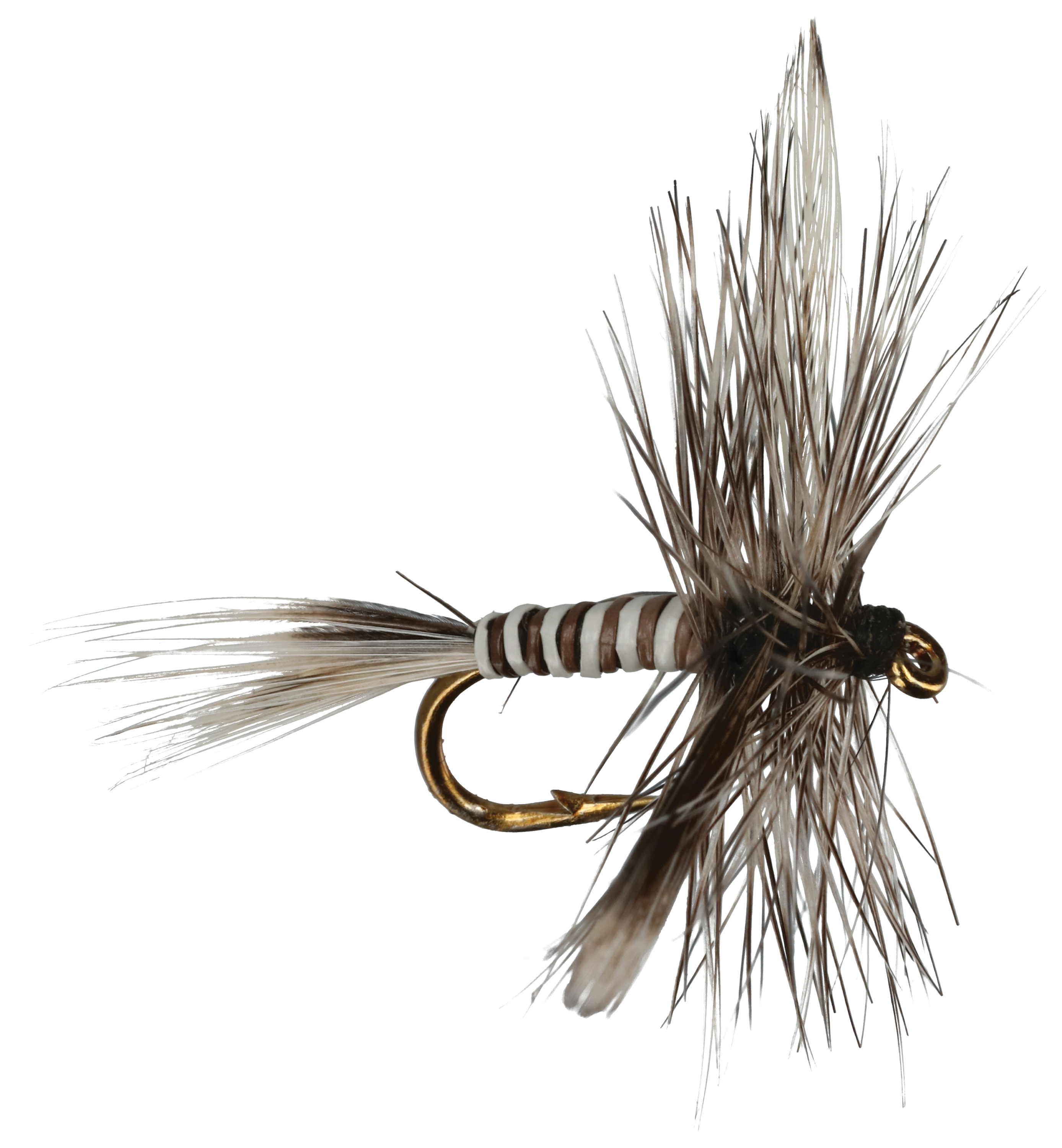 White River Fly Shop Mosquito Fly - 18 - 6 Pack - 100790548-3042997 - Backpacks The first thing you might notice about the White R sku 100790548-3042997