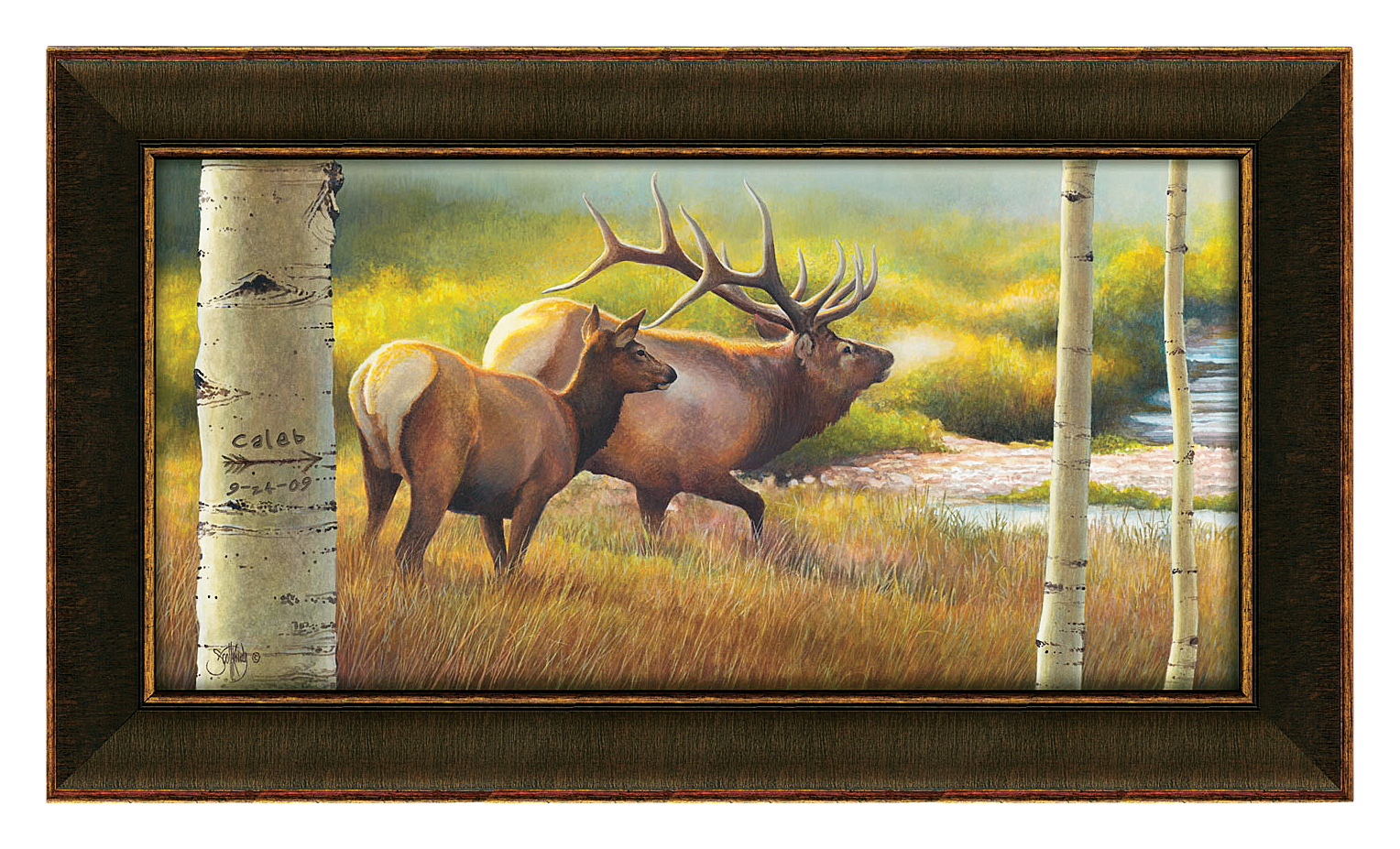 Scott Kennedy Elk Meadows Personalized Framed Print