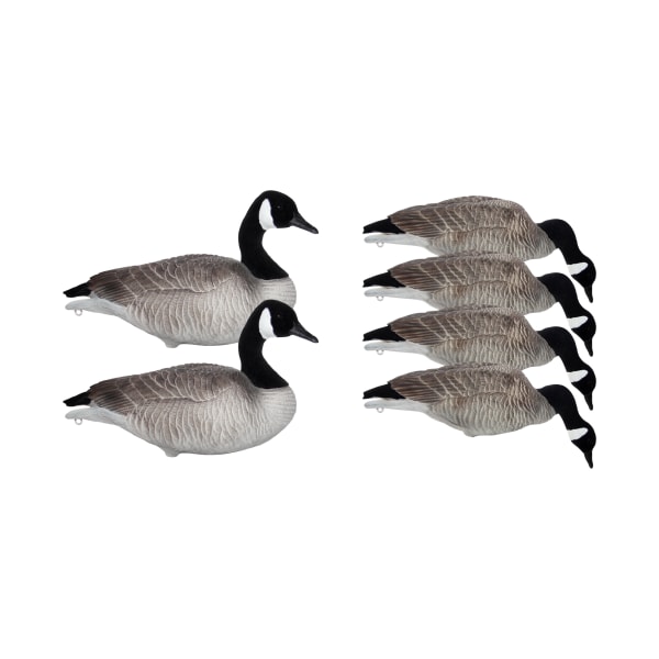Mayhem Decoys Flocked-Head Full-Body Lesser Canada Goose Decoy Pack