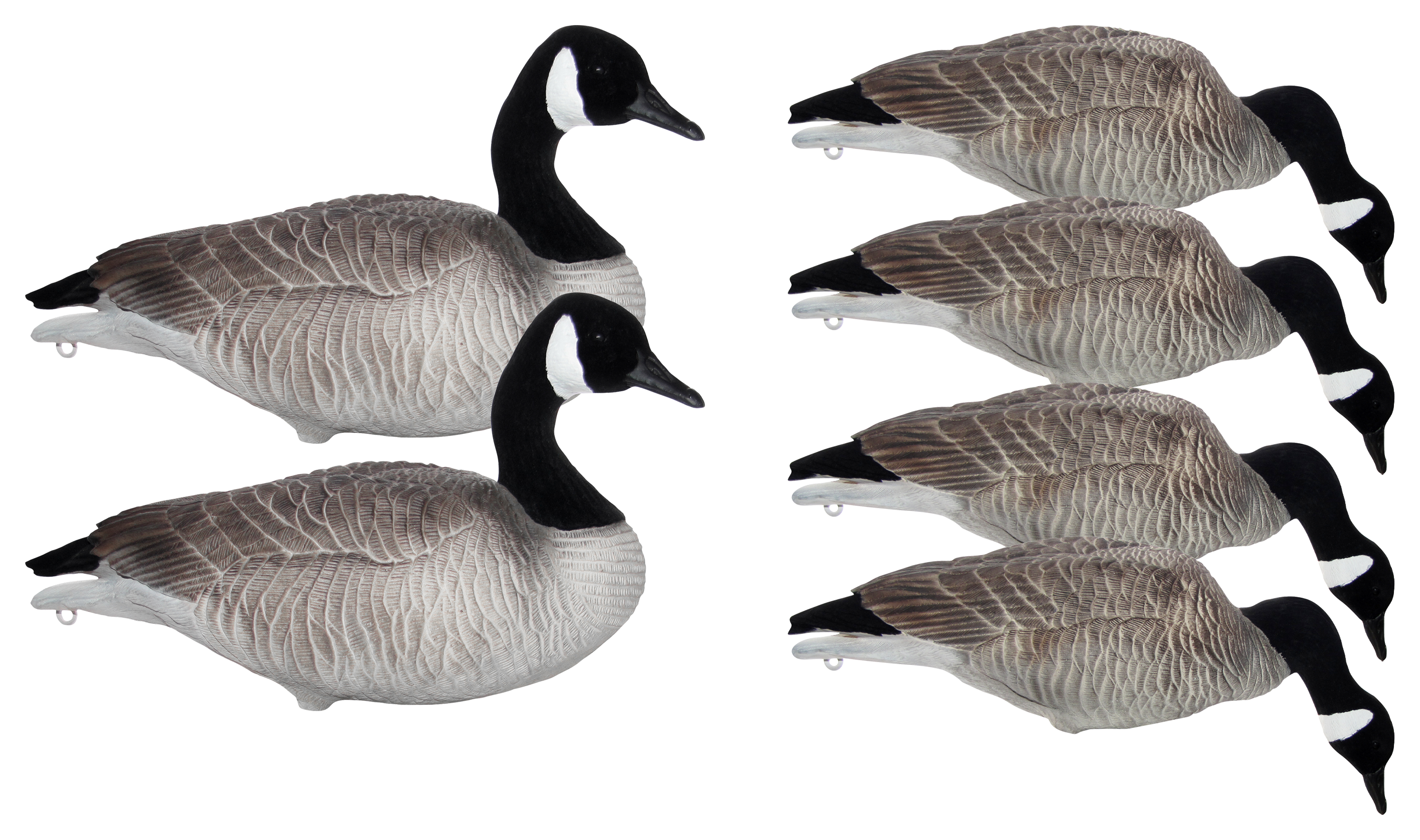 Mayhem Decoys Painted-Head Full-Body Lesser Canada Goose Decoy Pack