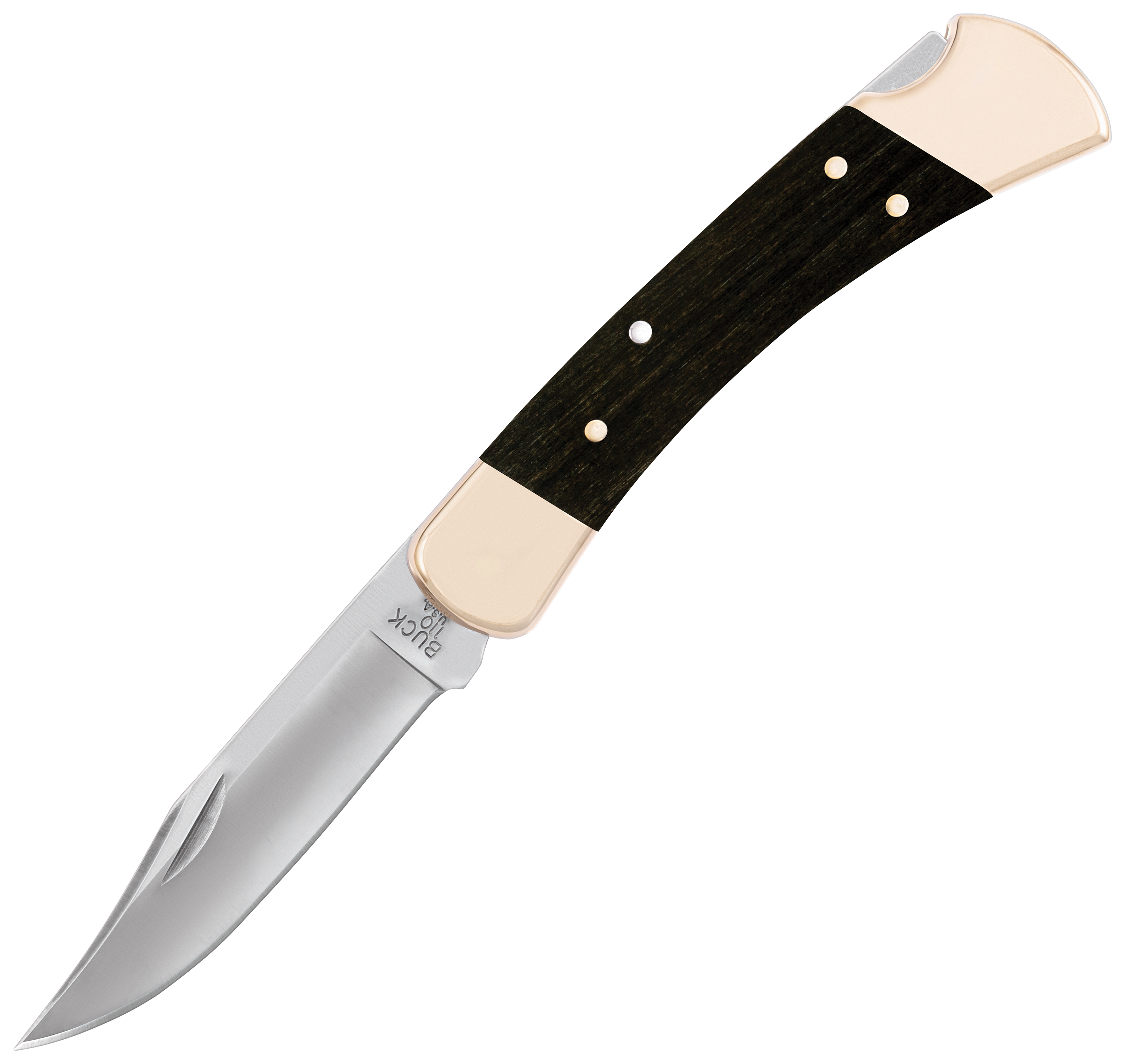 Buck 110 Folding Hunter Knife