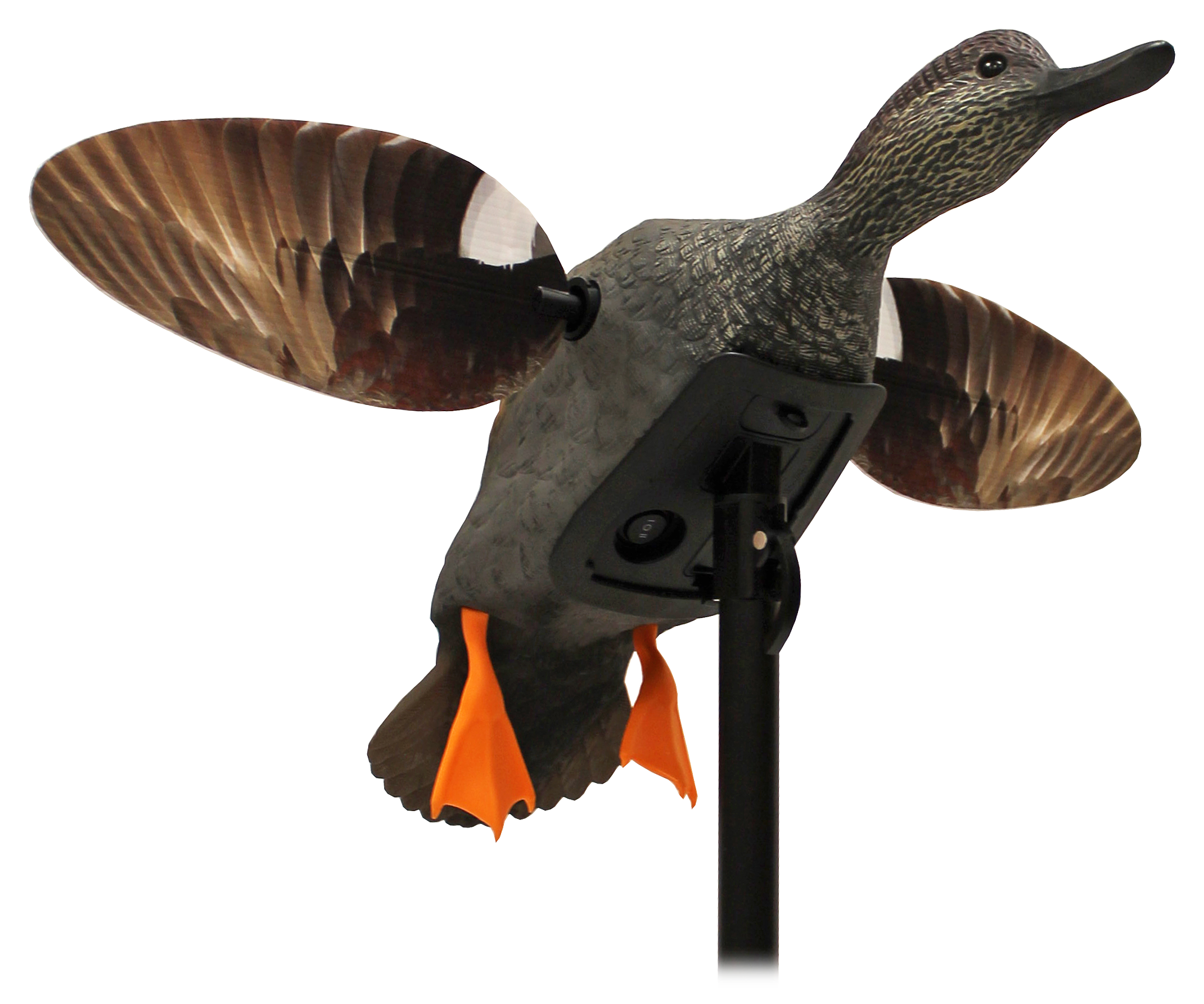 MOJO Elite Series Gadwall Spinning-Wing Decoy