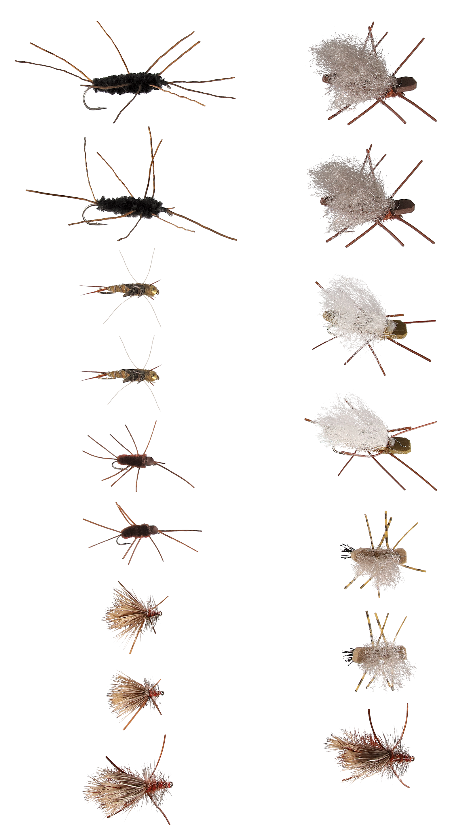 WHITE RIVER FLY SHOP Stonefly Life Cycle 16-Pack Fly Assortment