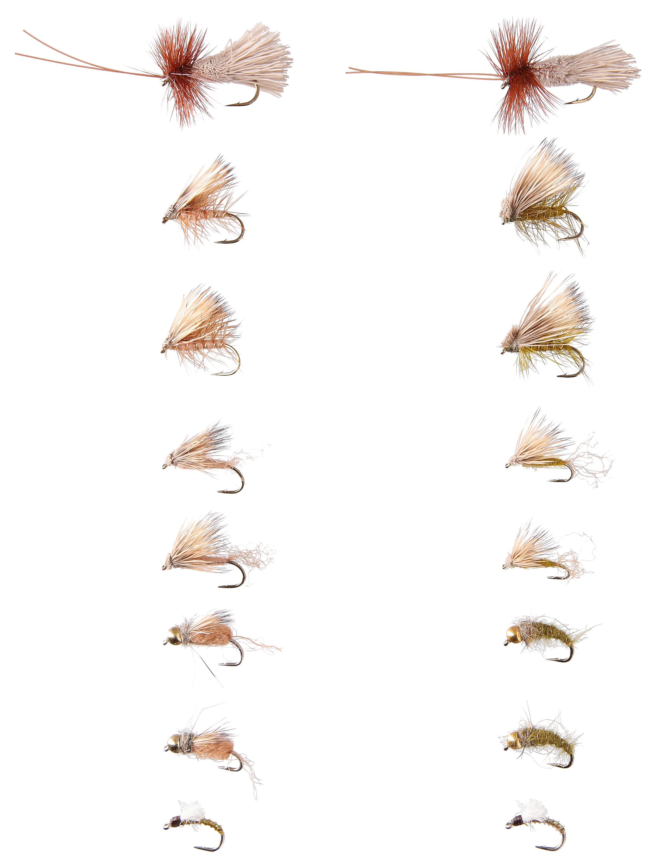 WHITE RIVER FLY SHOP Caddis Life Cycle 16-Pack Fly Assortment