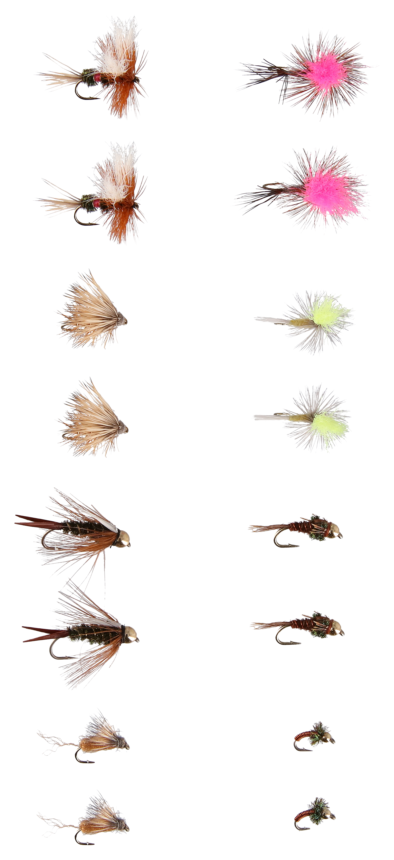 WHITE RIVER FLY SHOP Trout Starter 16-Pack Fly Assortment