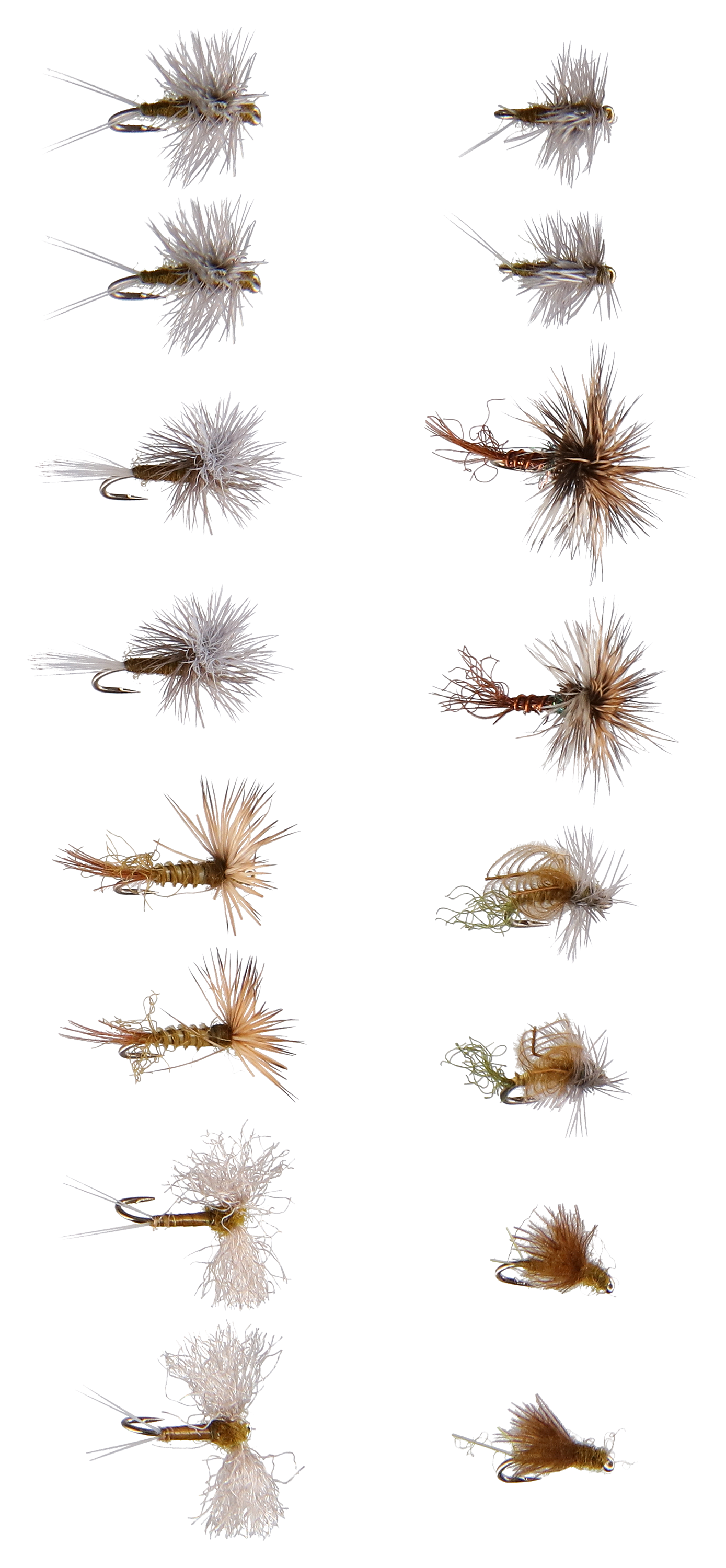 WHITE RIVER FLY SHOP Blue Wing Olive 16-Pack Fly Assortment