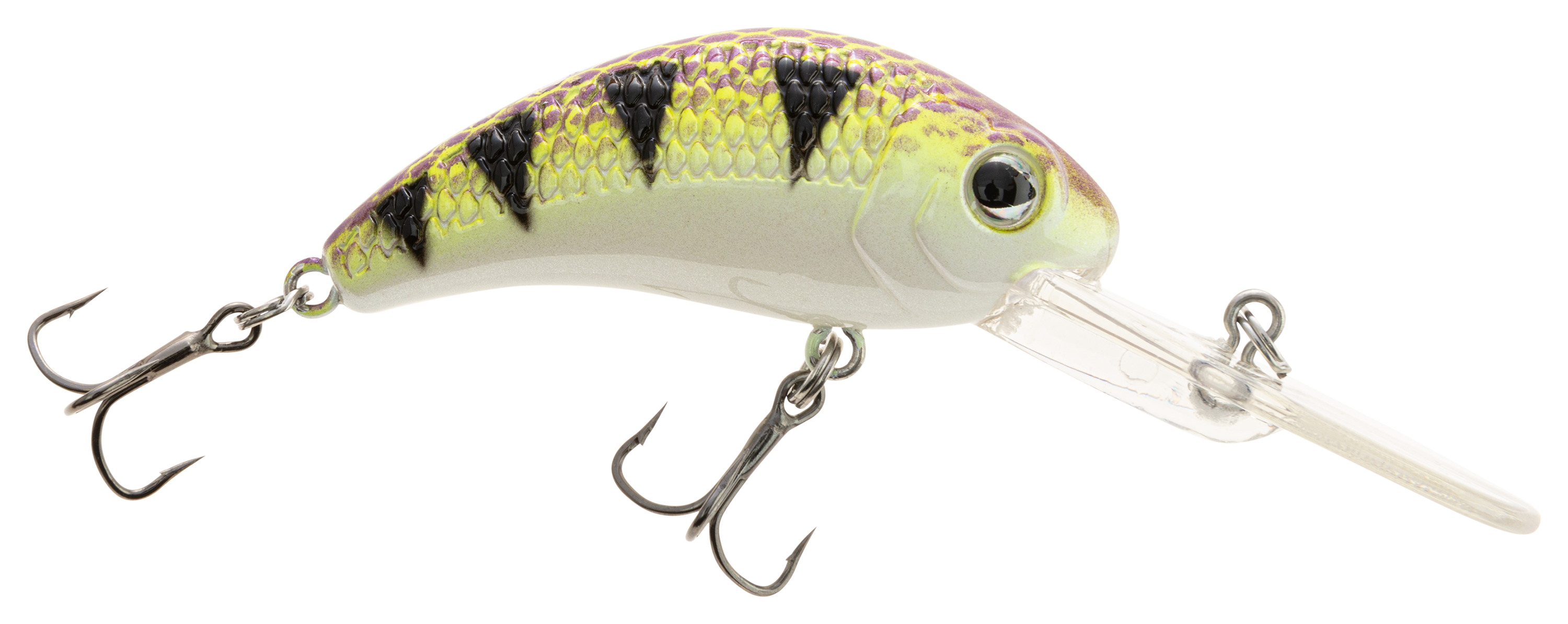 Walleye Nation Boogie Shad Crankbait - 2 - 1/4 oz. - Purple Reign