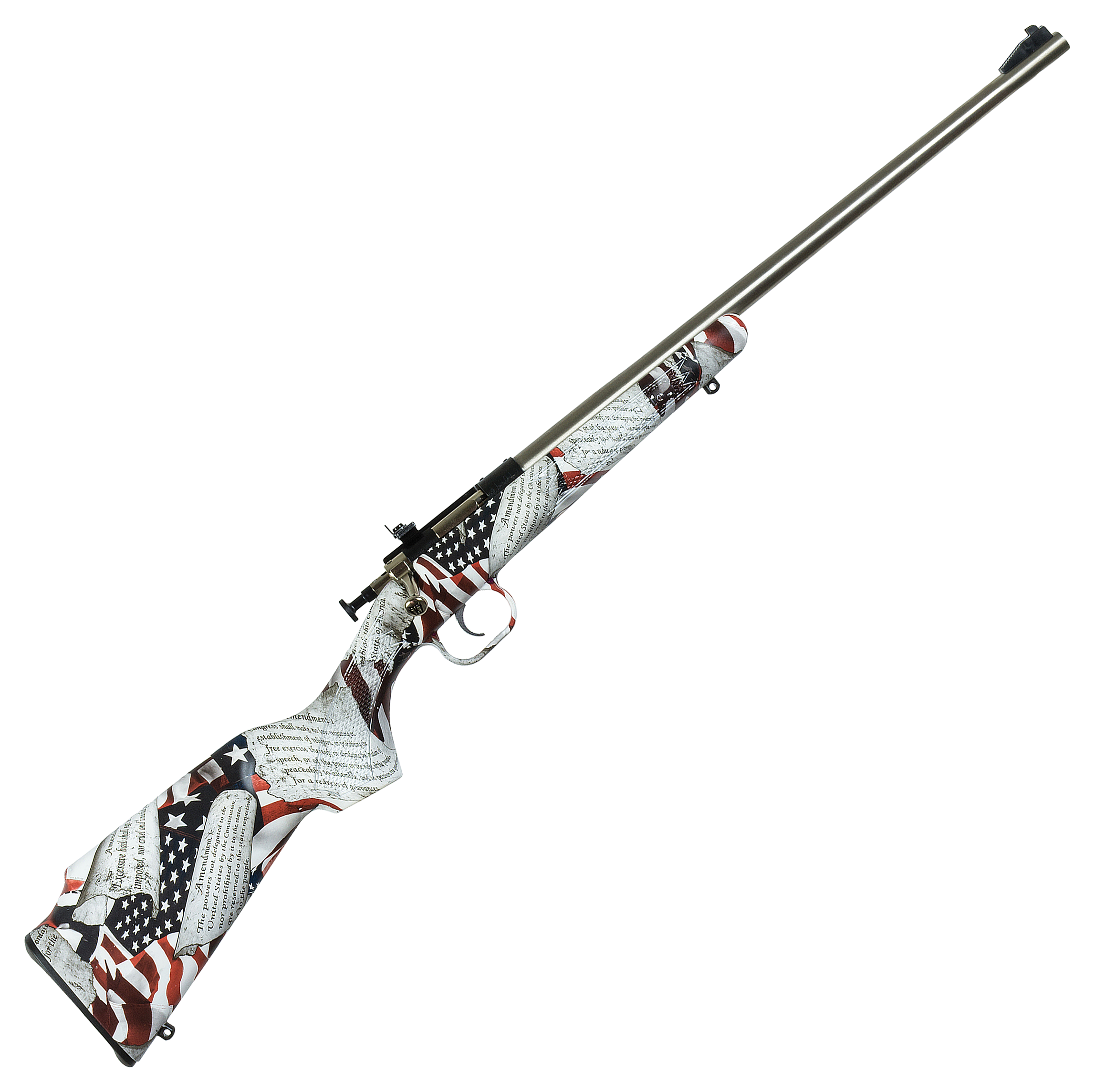 Image of Keystone Sporting Arms Crickett Single-Shot Rifle - Amendment/Stainless