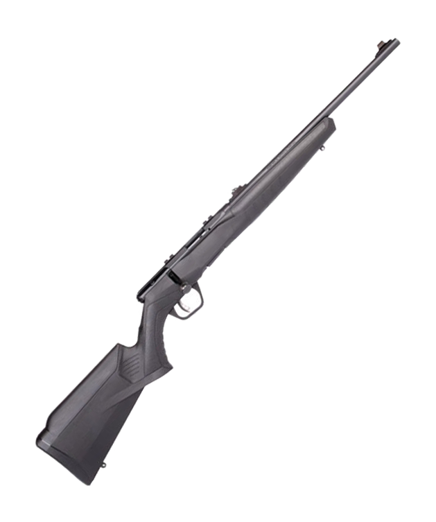 Savage Arms B22 Magnum F Compact Rimfire Bolt-Action Rifle