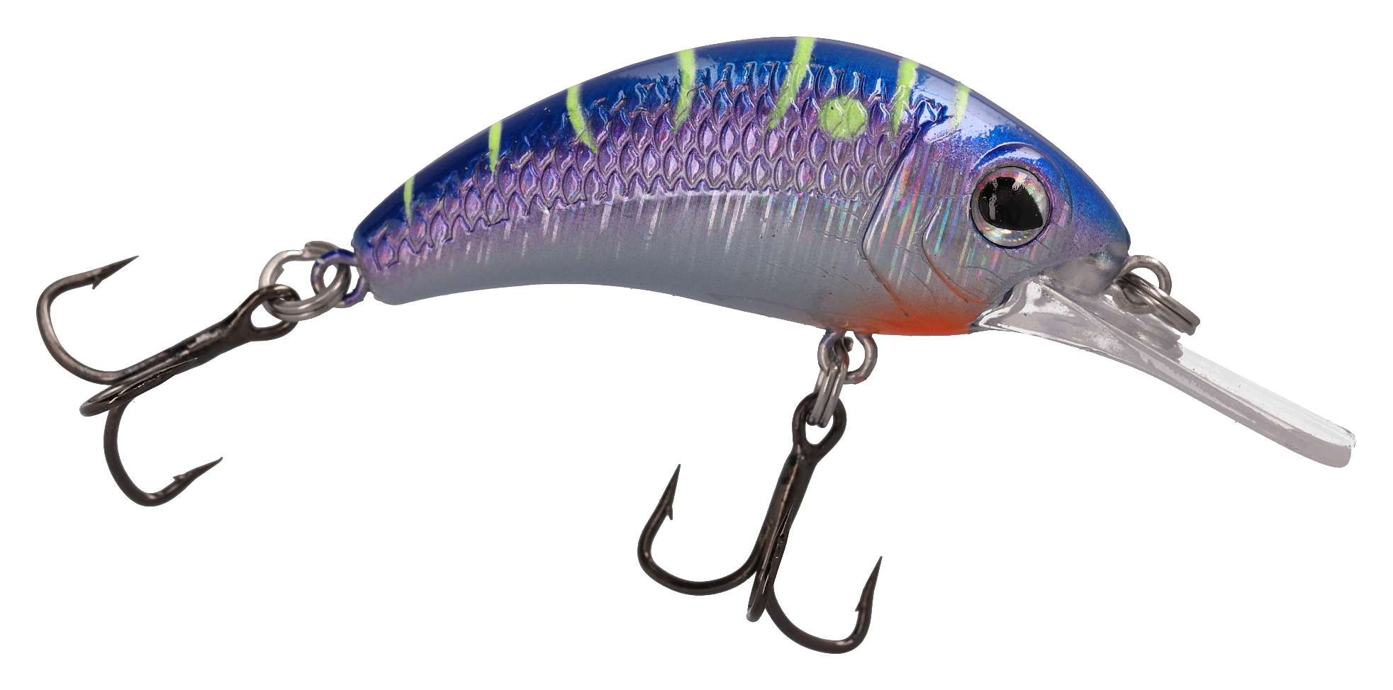Walleye Nation Boogie Shad Crankbait - 1-3/4 - 3/16 oz. - Purple Tiger