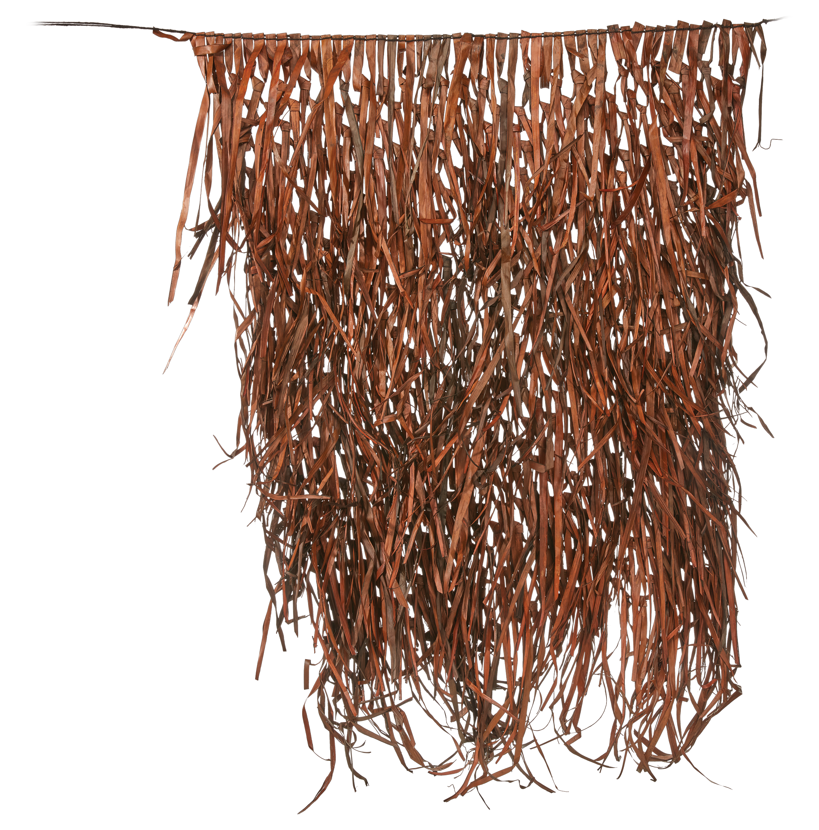 NORTHERN FLIGHT Field Grass