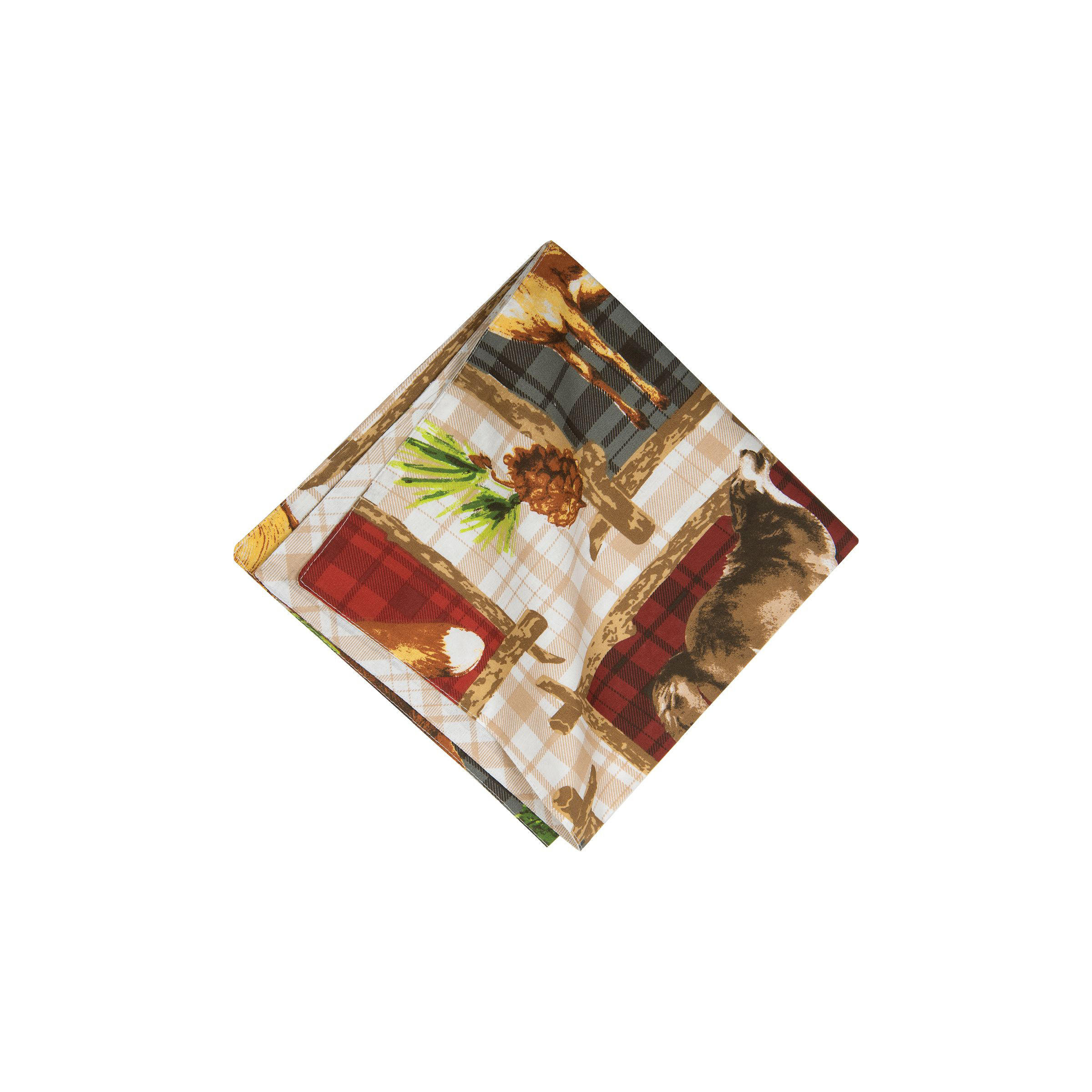 Image of C&F Home Bryson Retreat Reversible Rustic Lodge Napkin 6-Pack