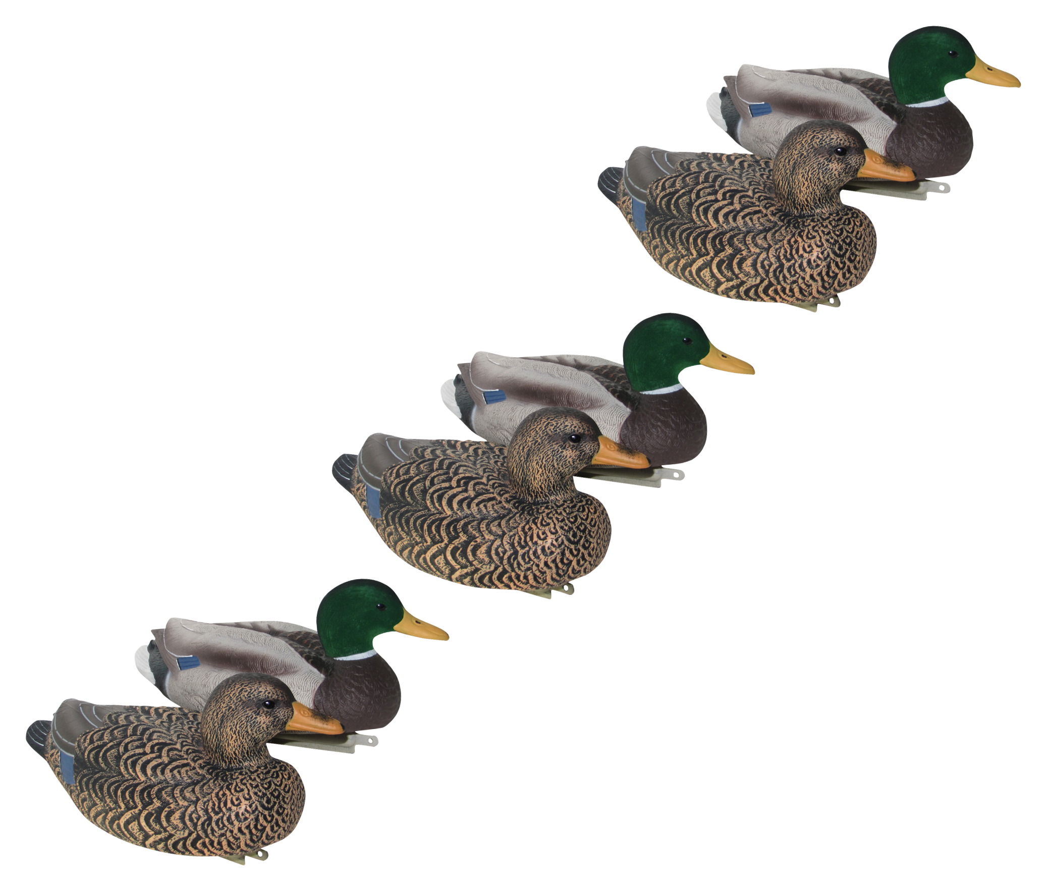 Mayhem Decoys Flocked-Head Mallard Floater Duck Decoy Pack - 6 Pack