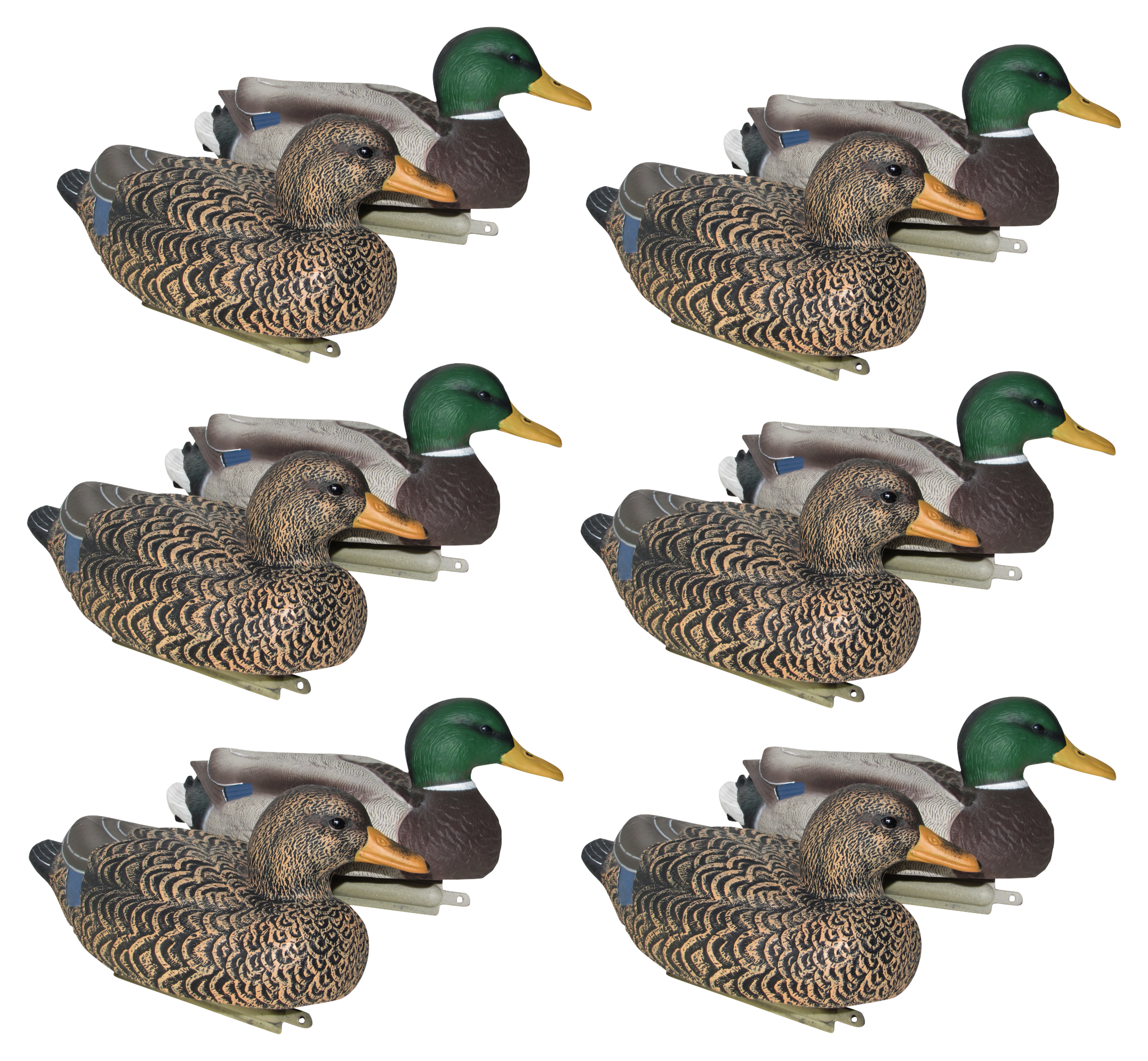 Mayhem Decoys Painted-Head Mallard Floater Duck Decoy Pack - 12 Pack