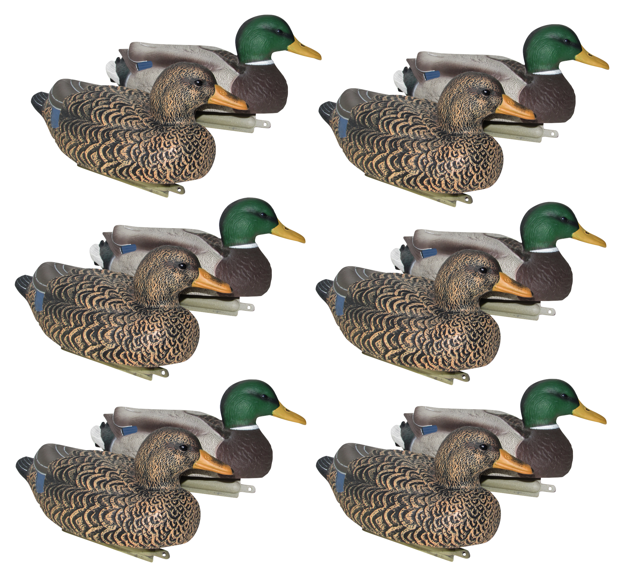 MAYHEM DECOY s Painted-Head Mallard Floater Duck Decoy Pack