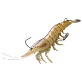 LIVETARGET Live Shrimp Image