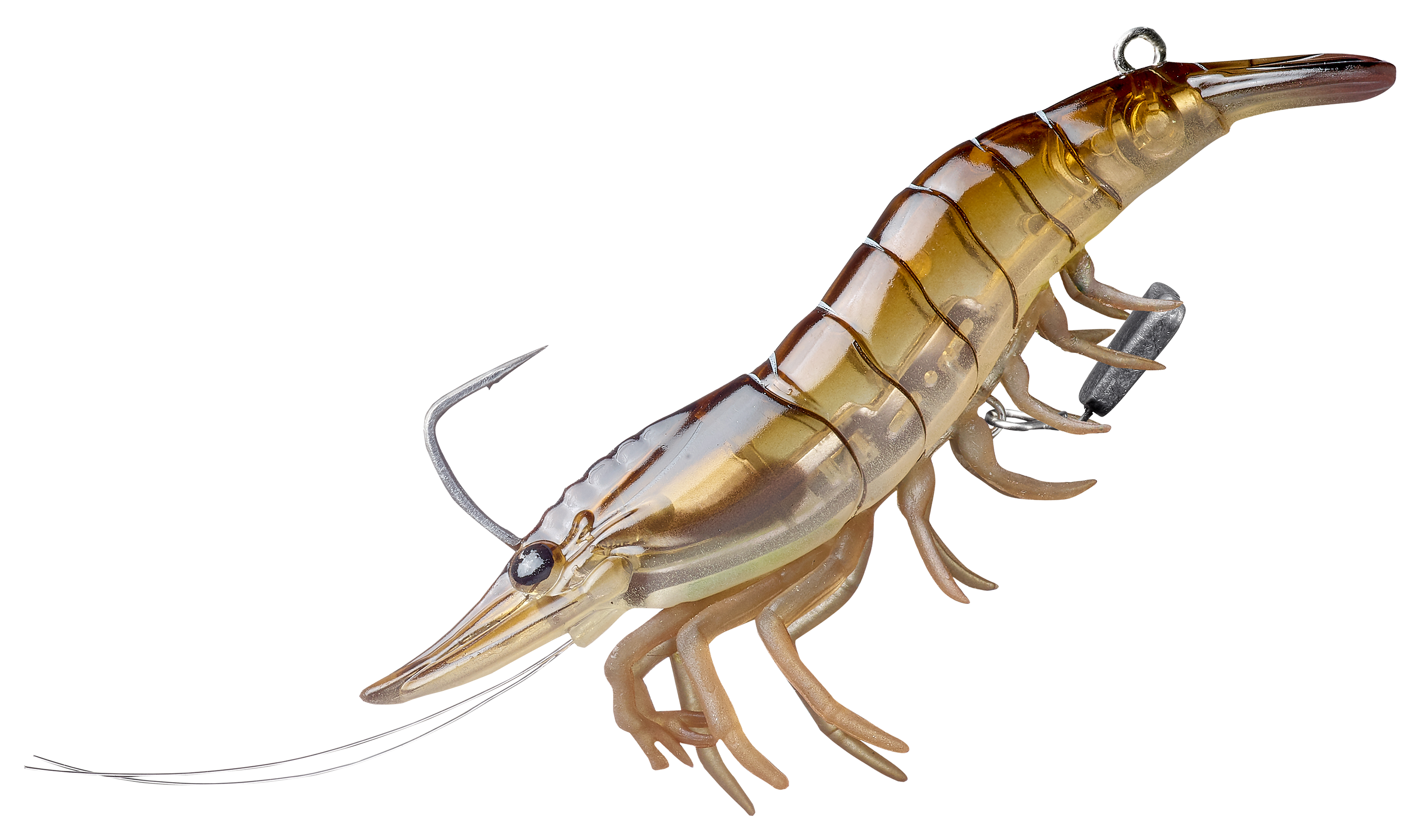 LIVETARGET Live Shrimp - 3 - Brown Shrimp