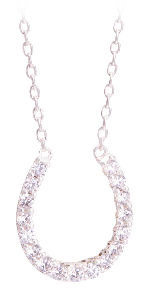 AMANDA BLU Lucky Horseshoe Silver Necklace