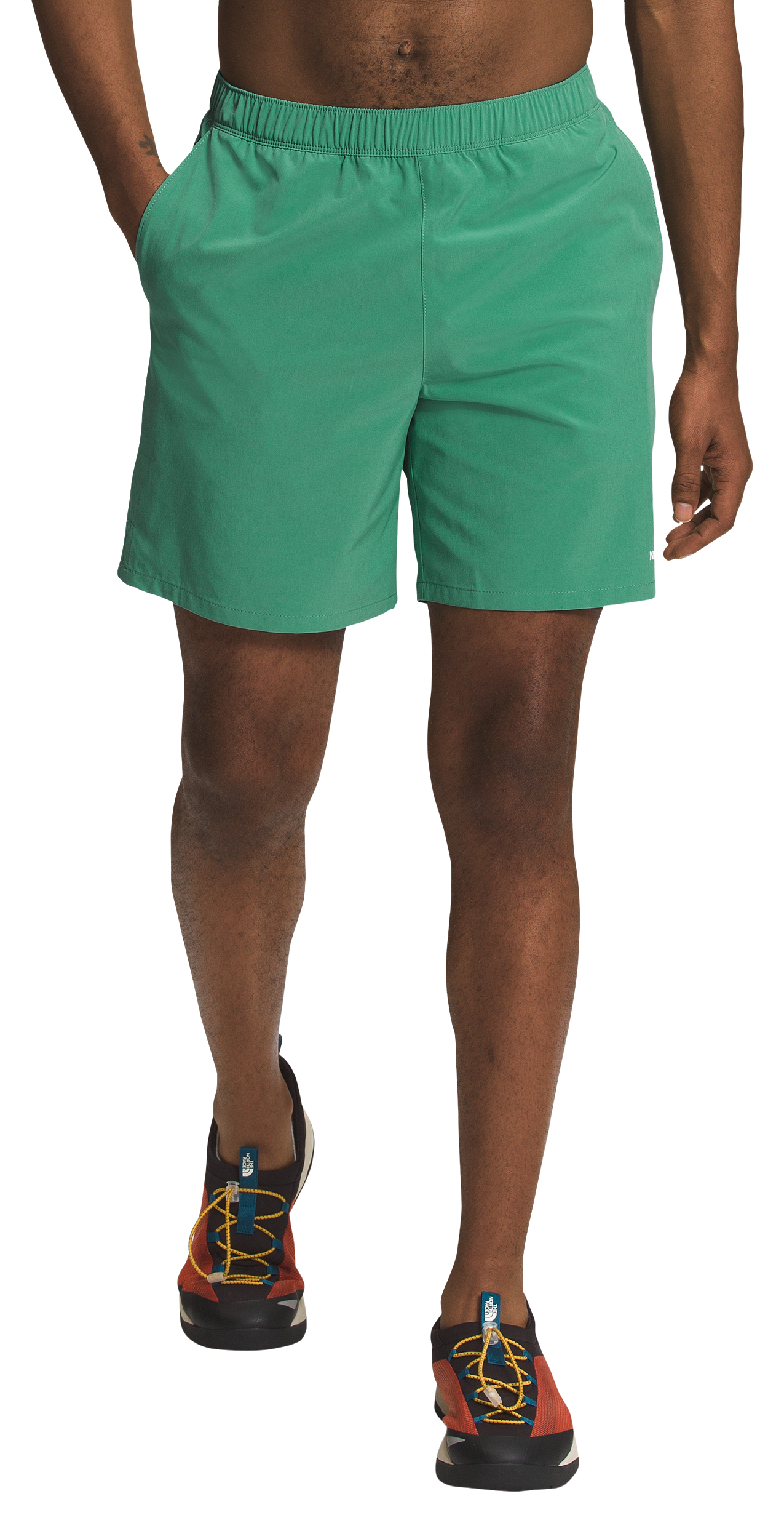 The North Face Wander Shorts for Men - Deep Grass Green - L