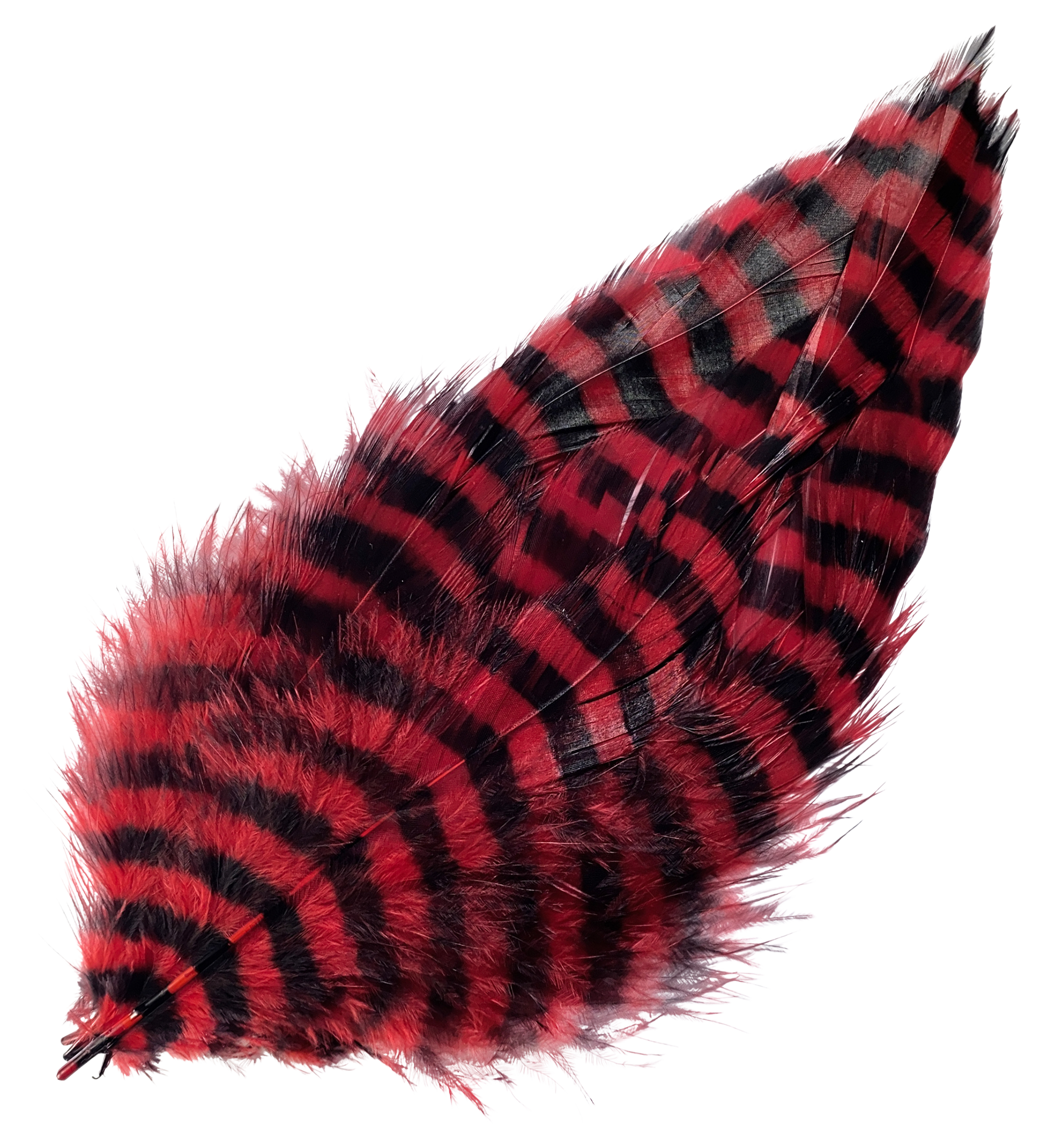 MONTANA FLY COMPANY Barred Schlappen Feather