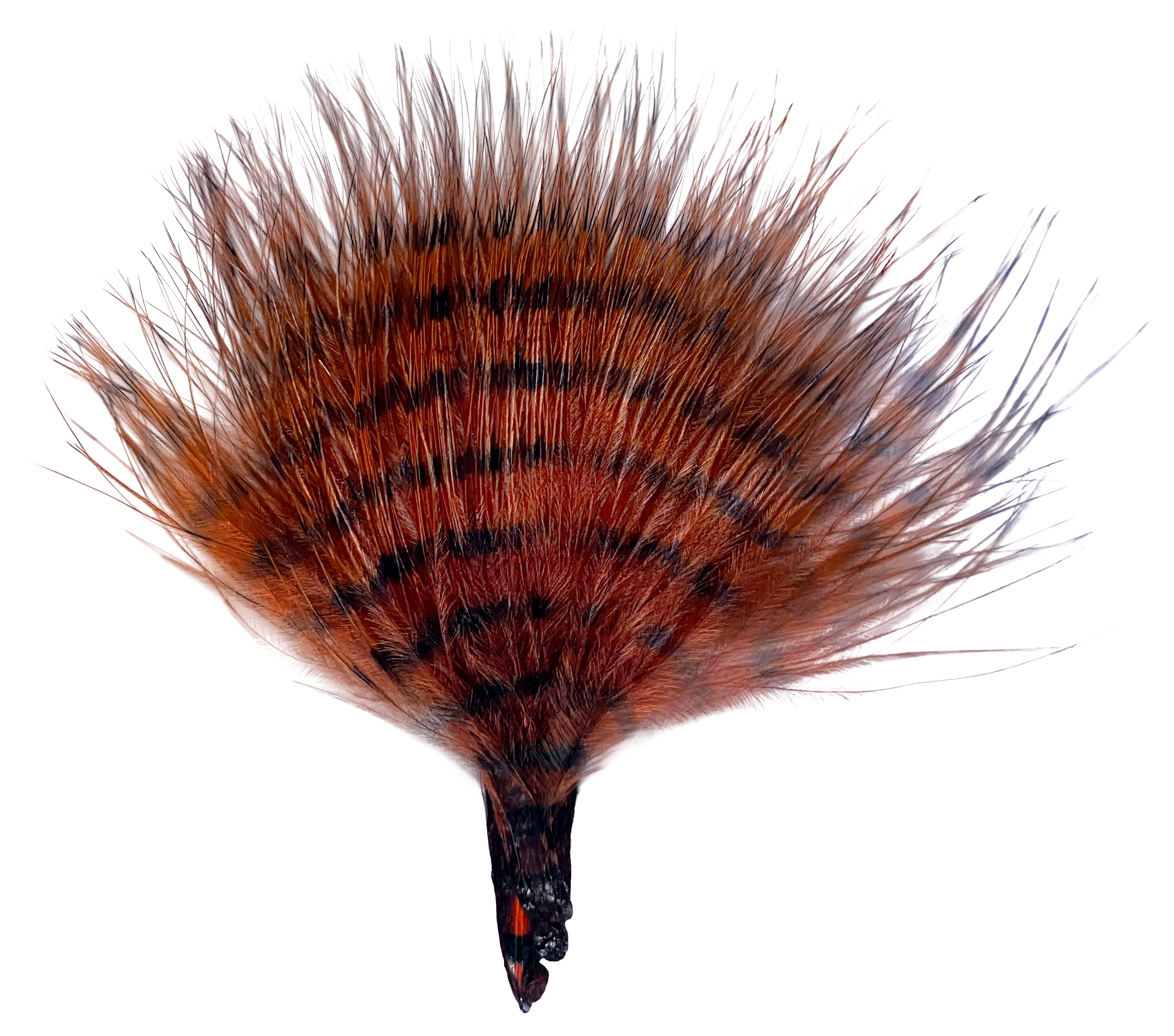 MONTANA FLY COMPANY Mini Barred Buggerbou