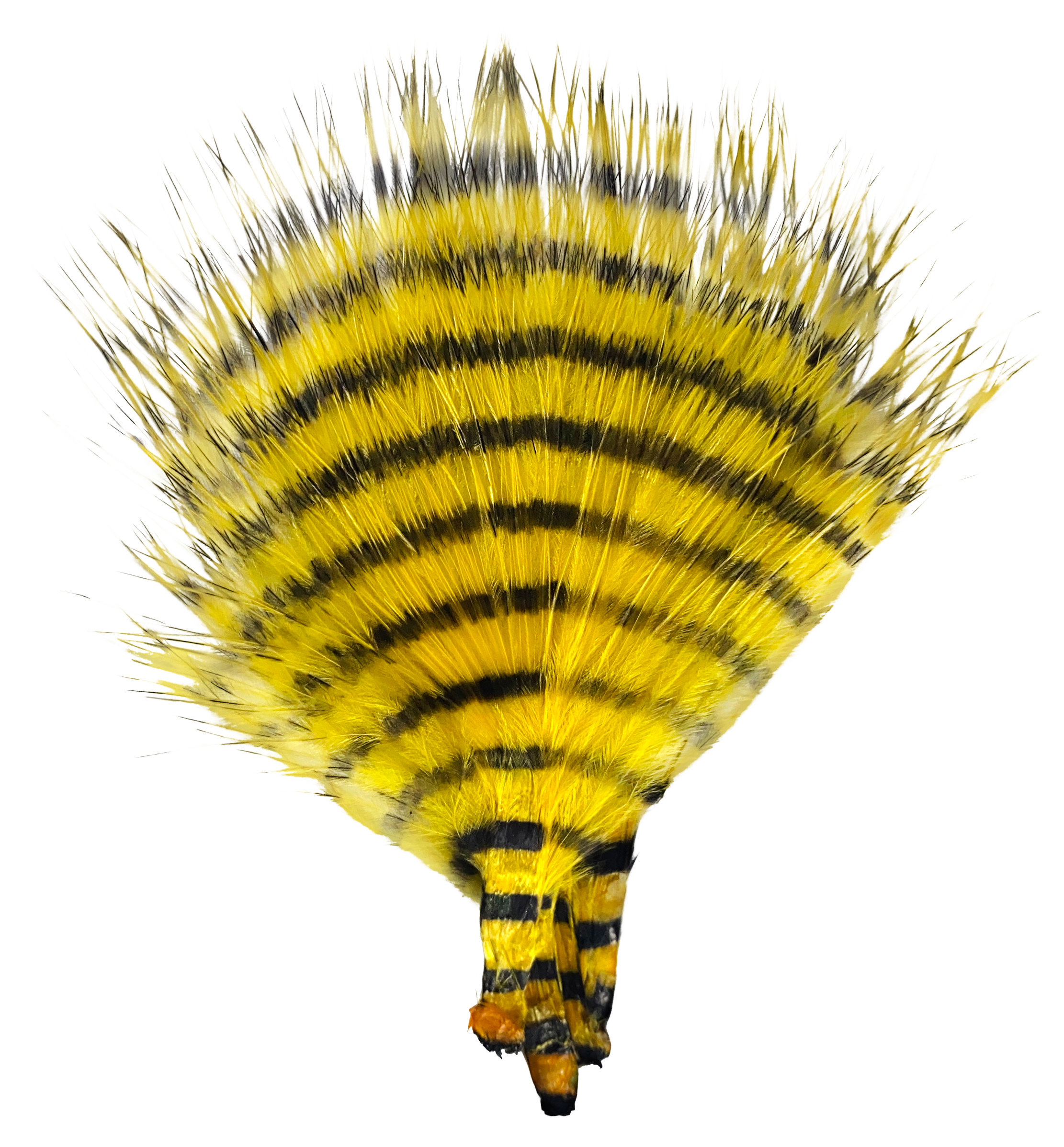 MONTANA FLY CO mpany Mini Barred Buggerbou