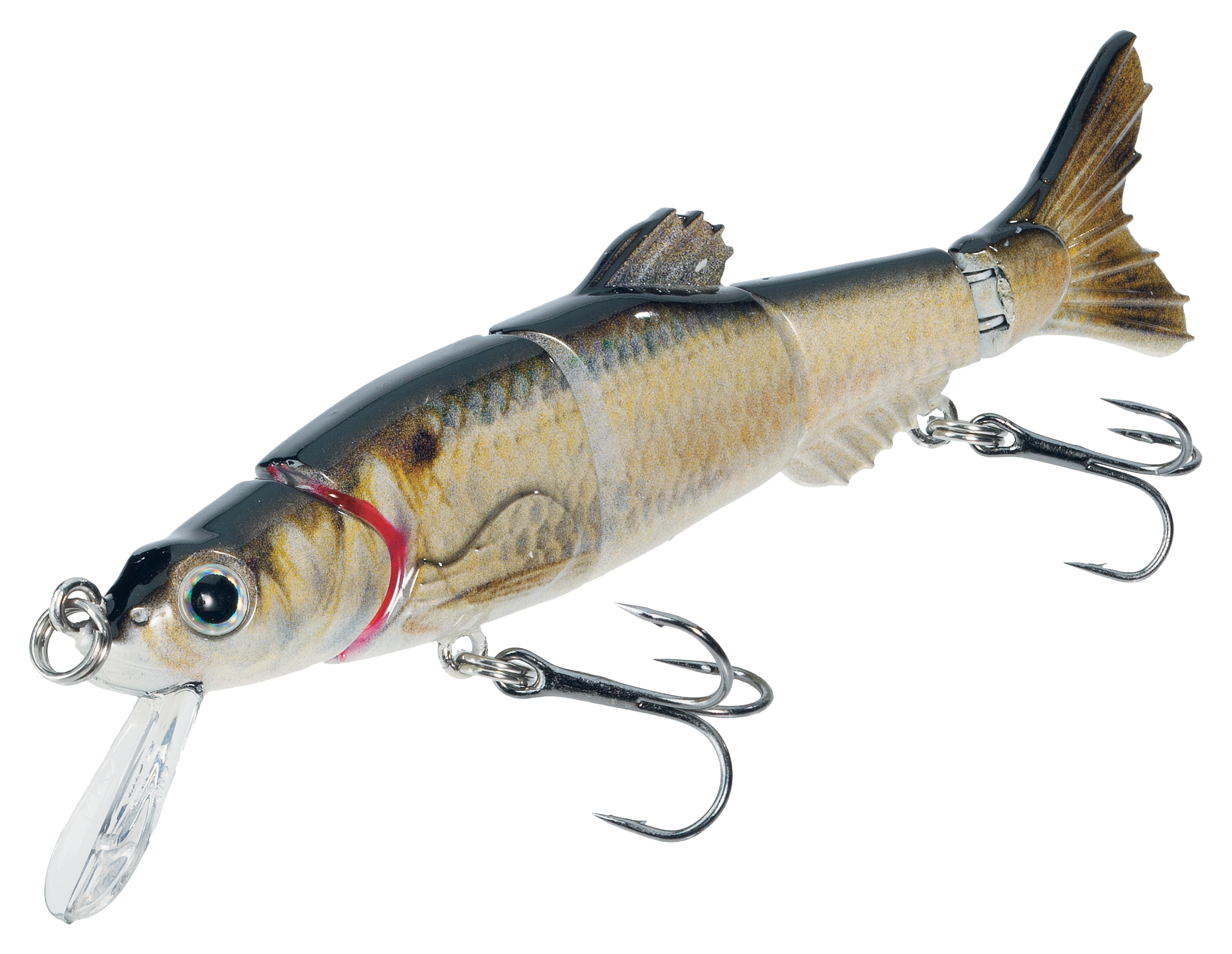 eMinnow World's Most Advanced Bass Lure BassKisser - Patented auto Sequence  Swimming Action mimics Live Bait, Built in Unique Vibration & Harmonic  Resonator - 4.16 Natural Pearl: Buy Online at Best Price