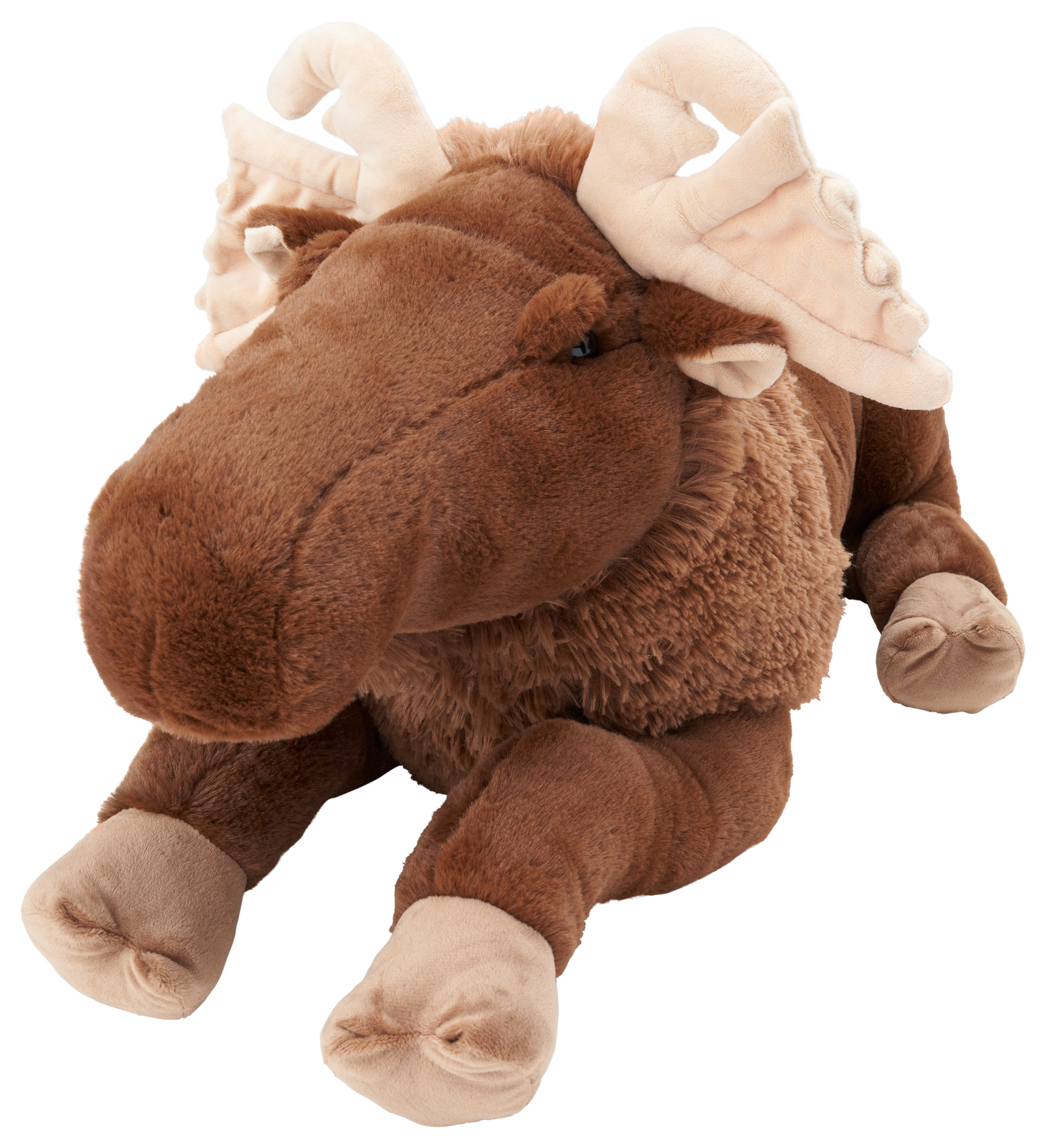 The Land of Boggs Boe Plush  Plush, Cuddly, Dinosaur stuffed animal