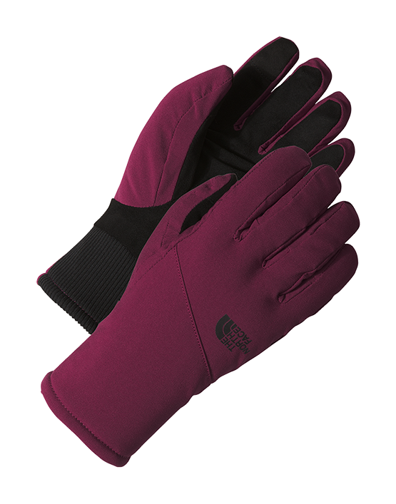 Image of The North Face Shelbe Raschel Etip Insulated Gloves for Ladies - Boysenberry - S