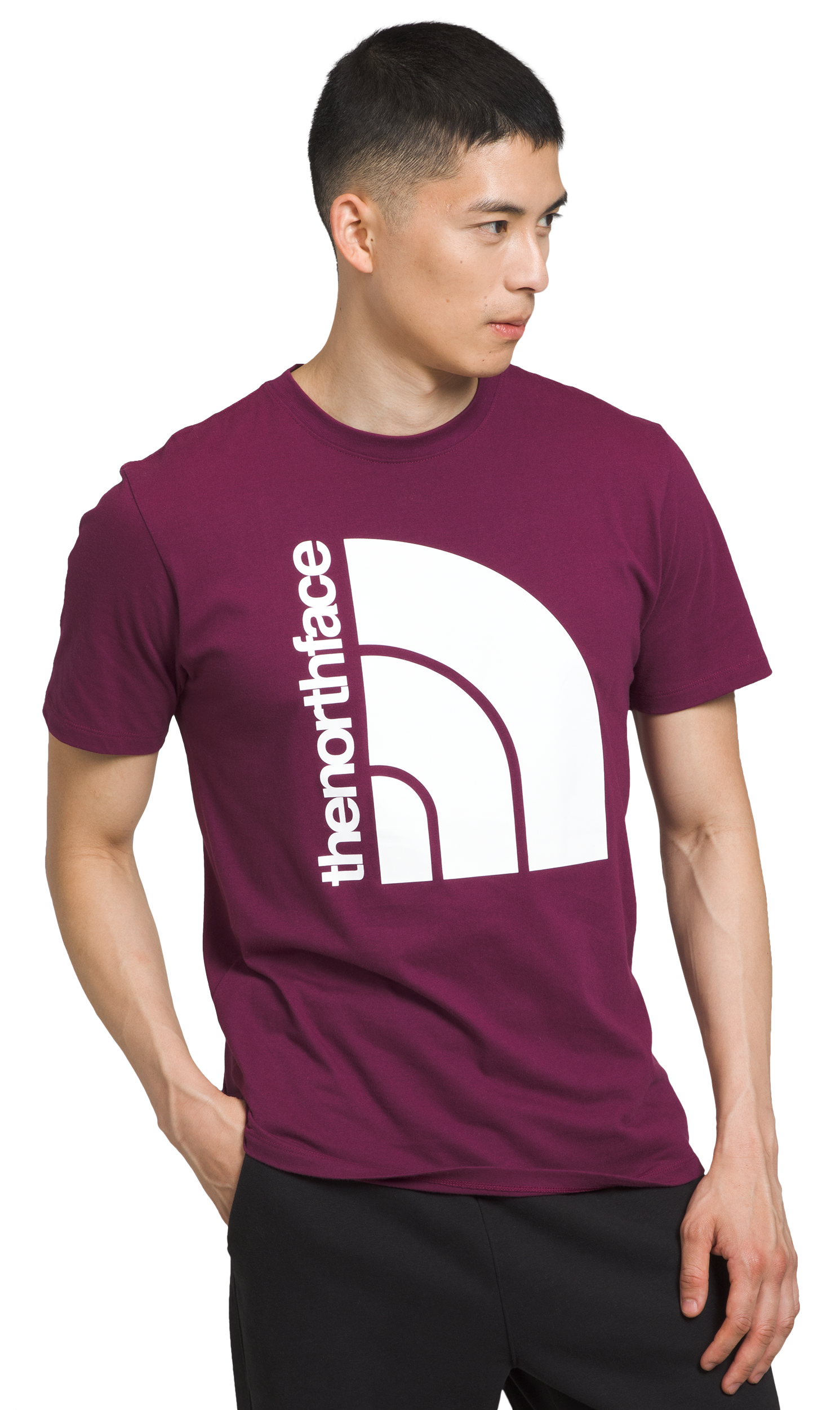 Image of The North Face Jumbo Half Dome Short-Sleeve T-Shirt for Men - Boysenberry/TNF White - XL