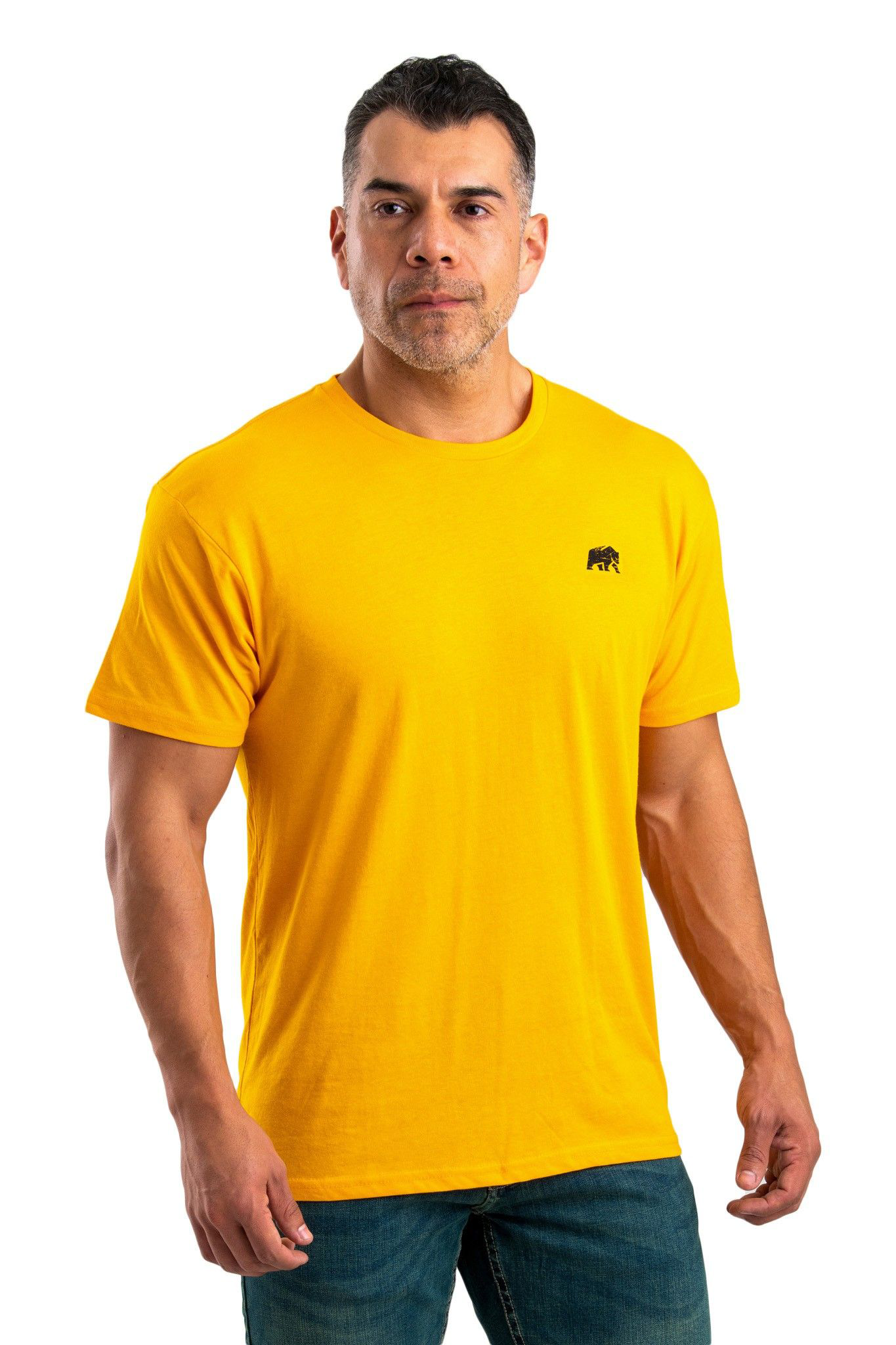 Image of Berne Heritage Berne Badge Short-Sleeve T-Shirt for Men - Gold