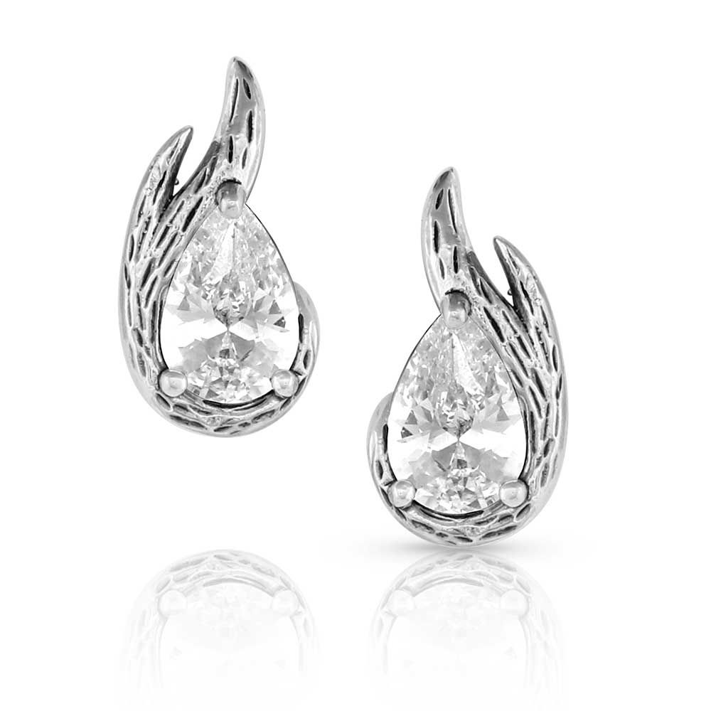 Image of Montana Silversmiths Frozen in Time Post Earrings