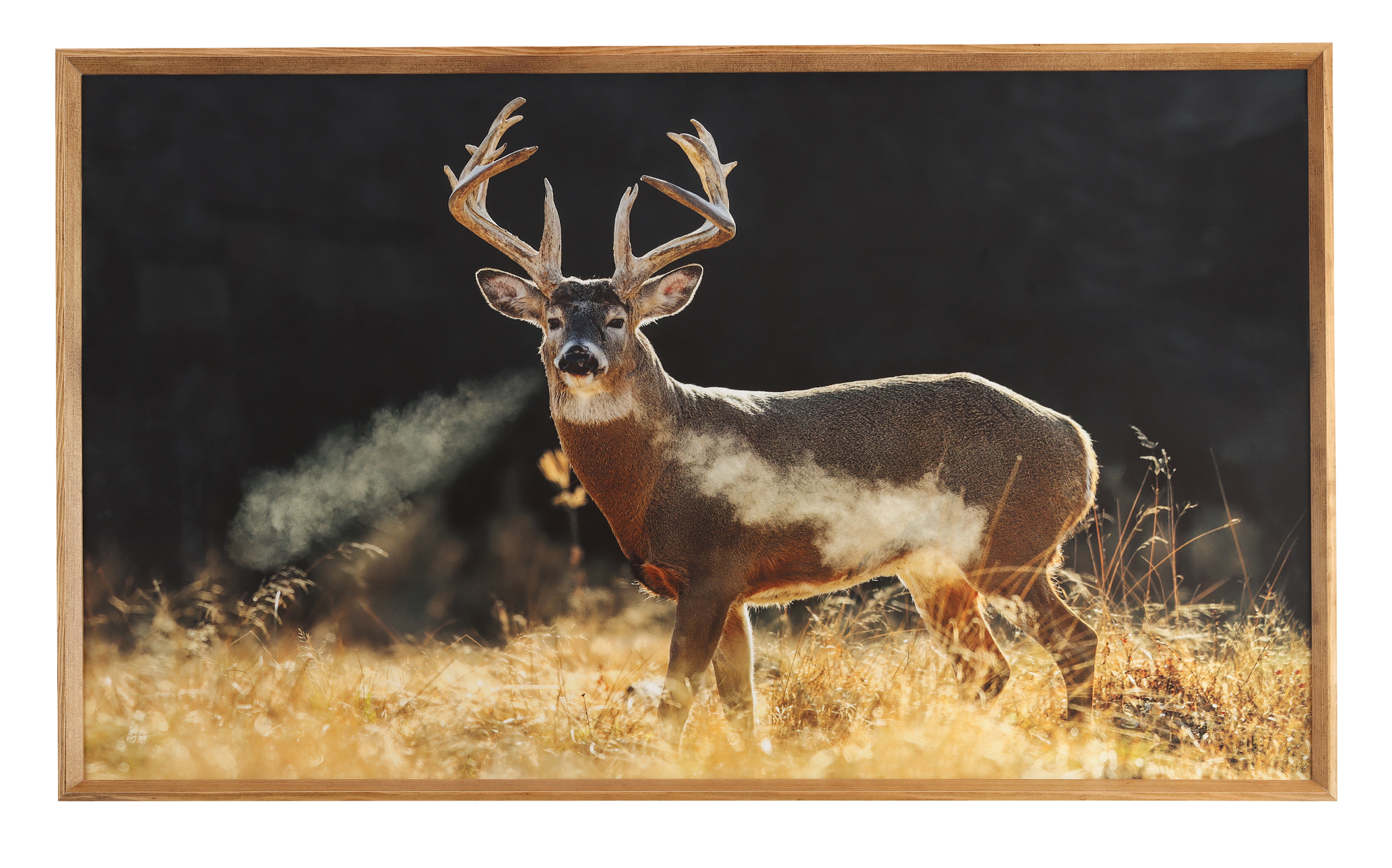 Image of Open Road Brands Deer in Field Framed Wood Wall Art by Lance Krueger