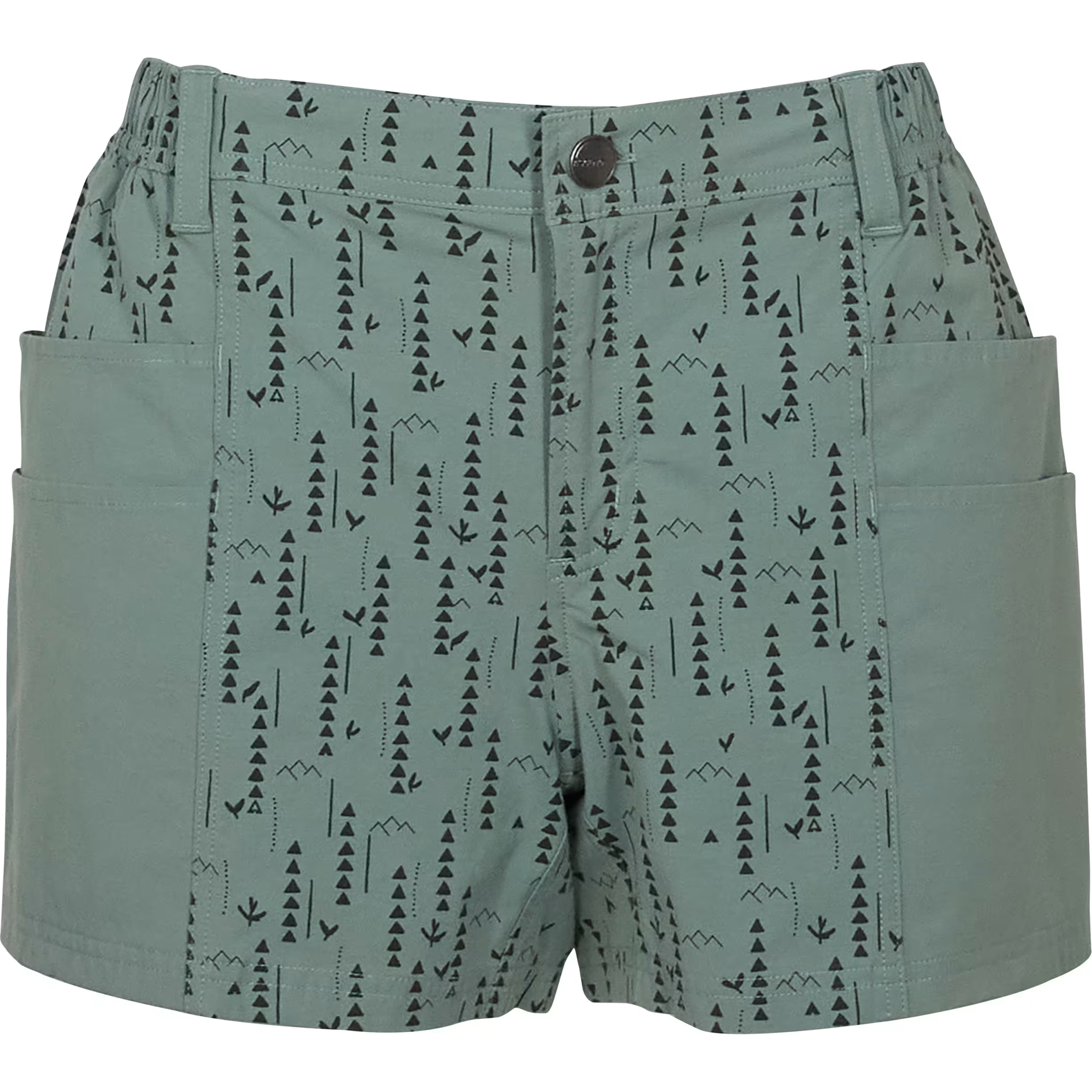 Image of Ascend Acadia Shorts - C Green Angles