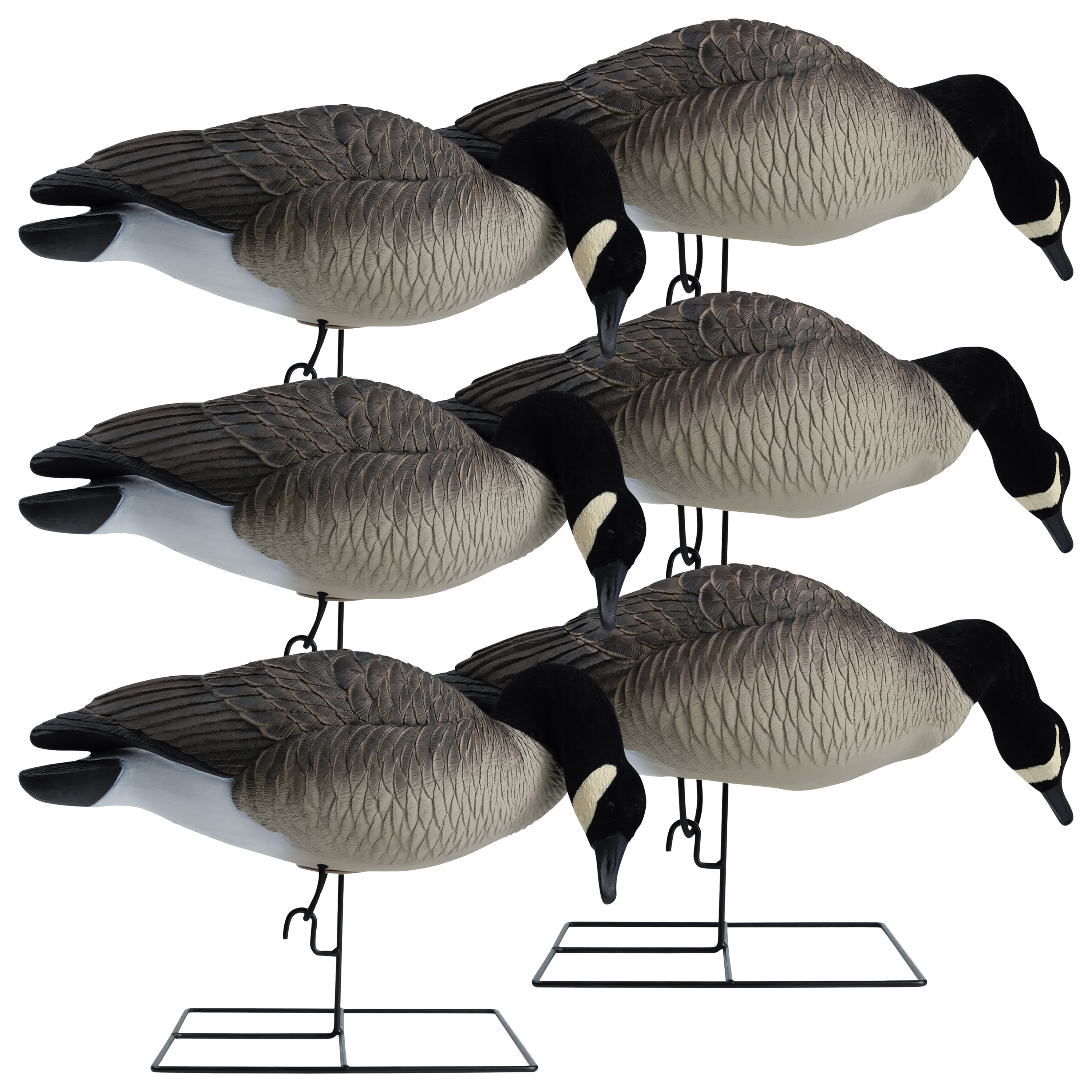 Image of Hardcore Rugged Series Full-Body Canada Goose Feeder Decoys