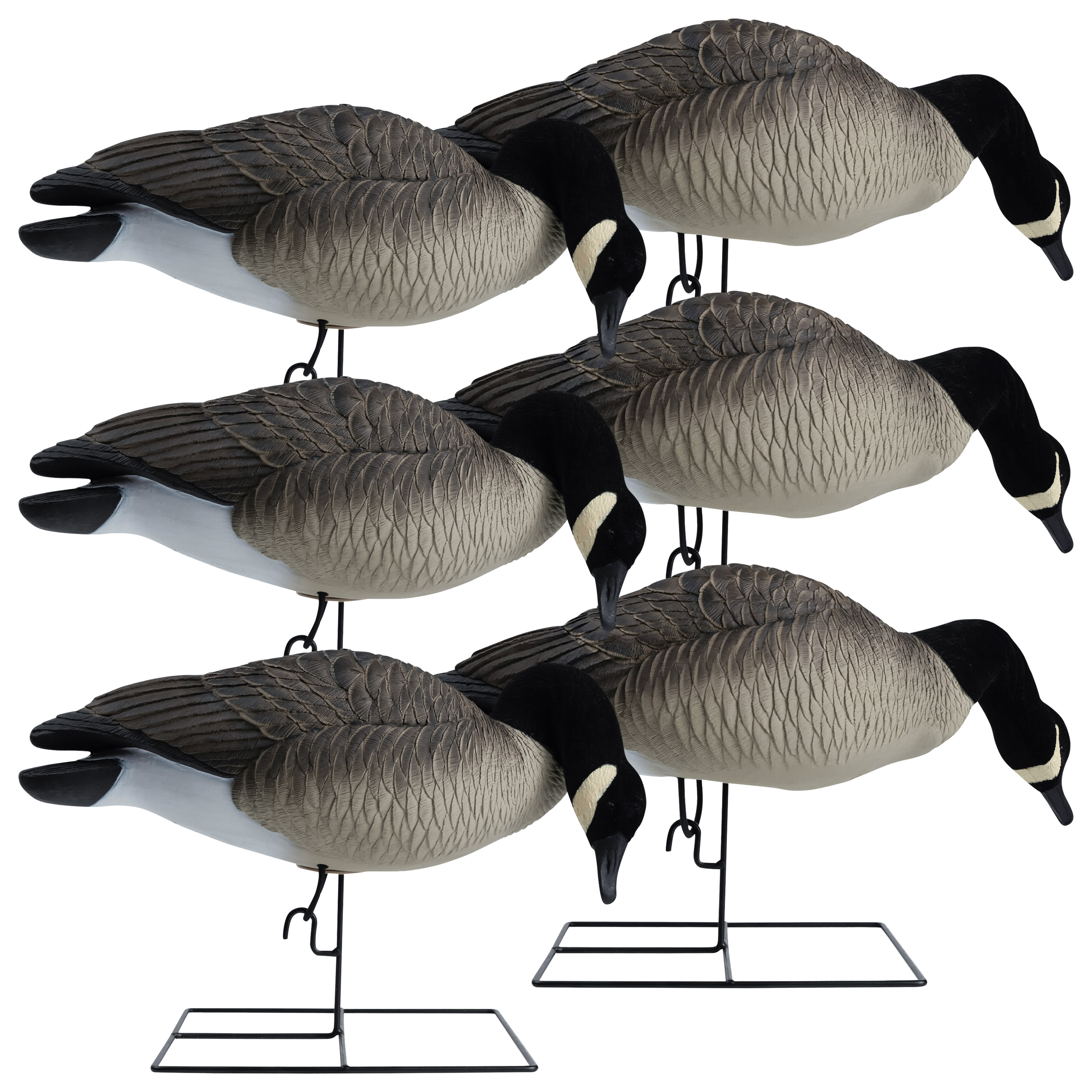 Hardcore Rugged Series Full-Body Canada Goose Feeder Decoys