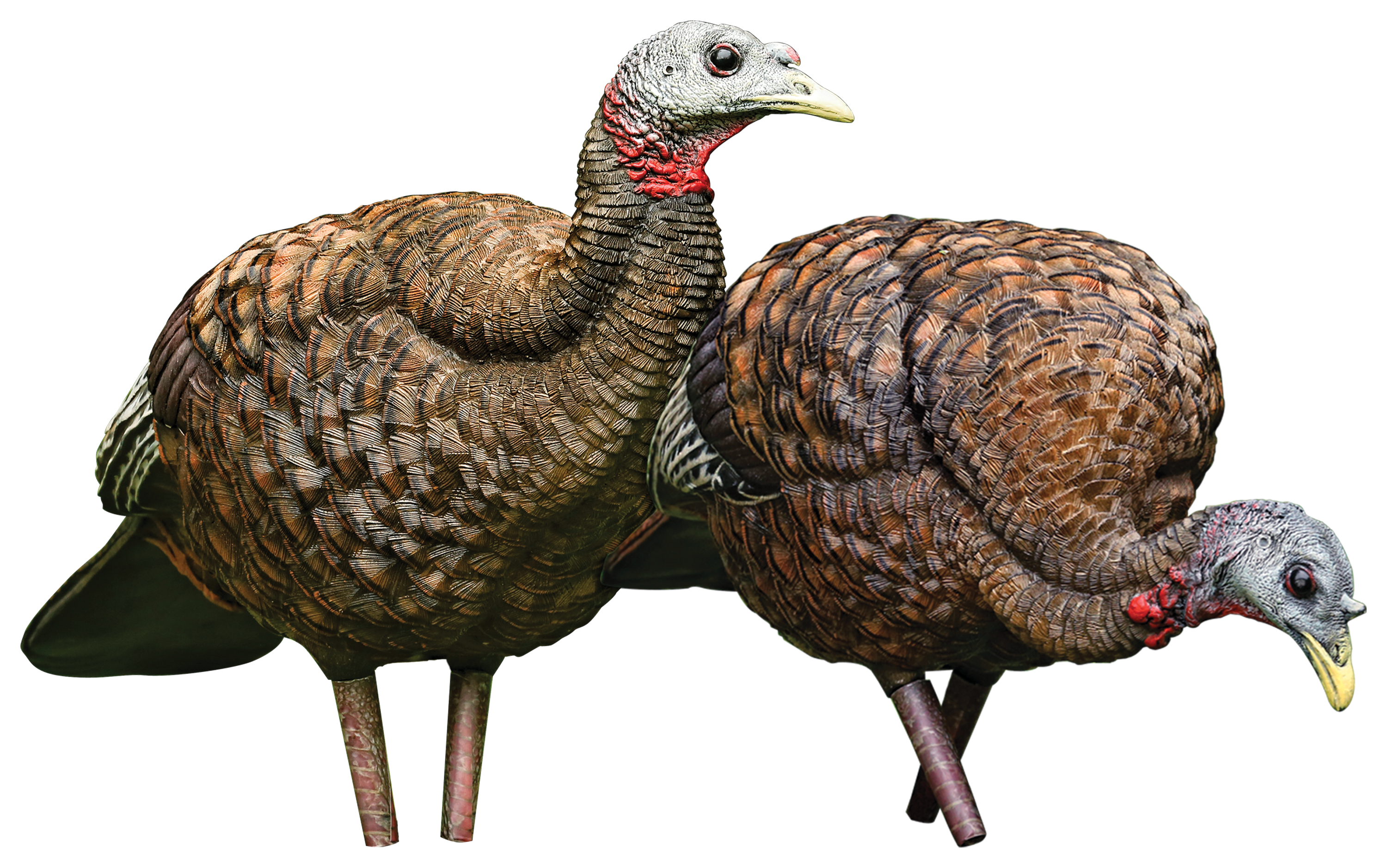 Avian-X Pair of Ladies LCD Breeder/Feeder Hen Turkey Decoy Combo