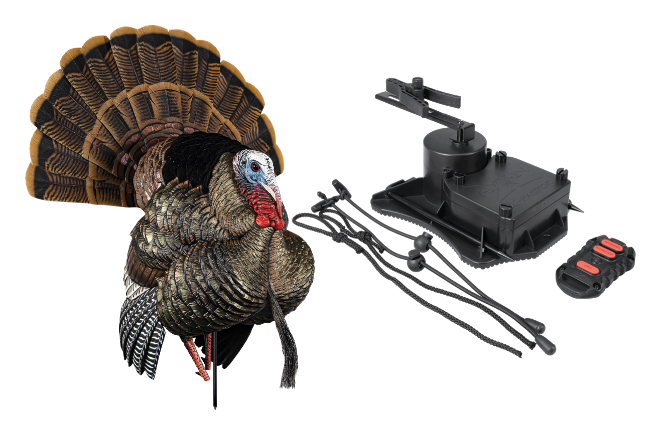 Avian-X HDR Strutter Turkey Decoy with X-Factor Motion System Combo