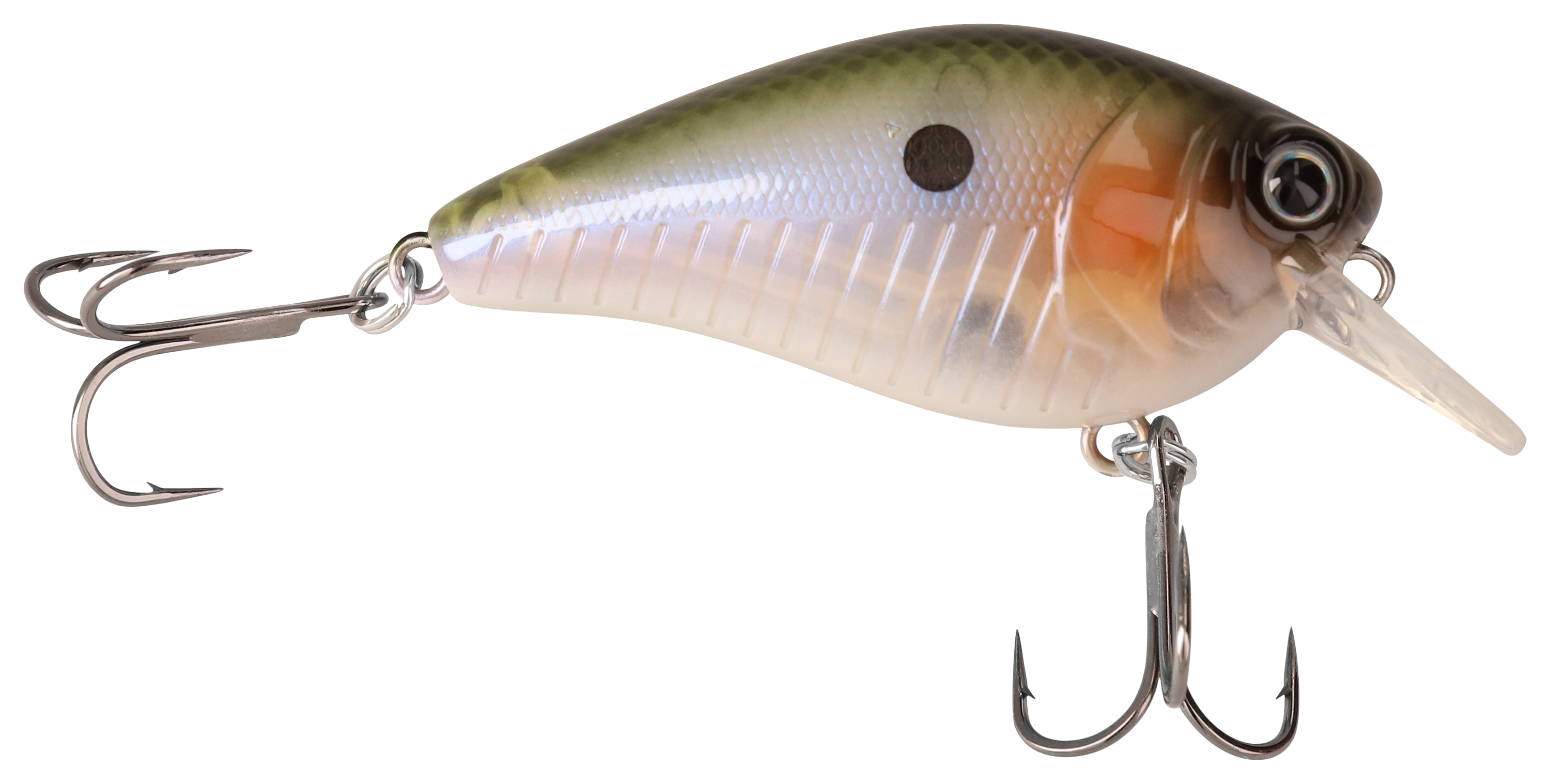 Bass Pro Shops XPS Crankbait Bl/Iridescent 2 3/4 Square Bill