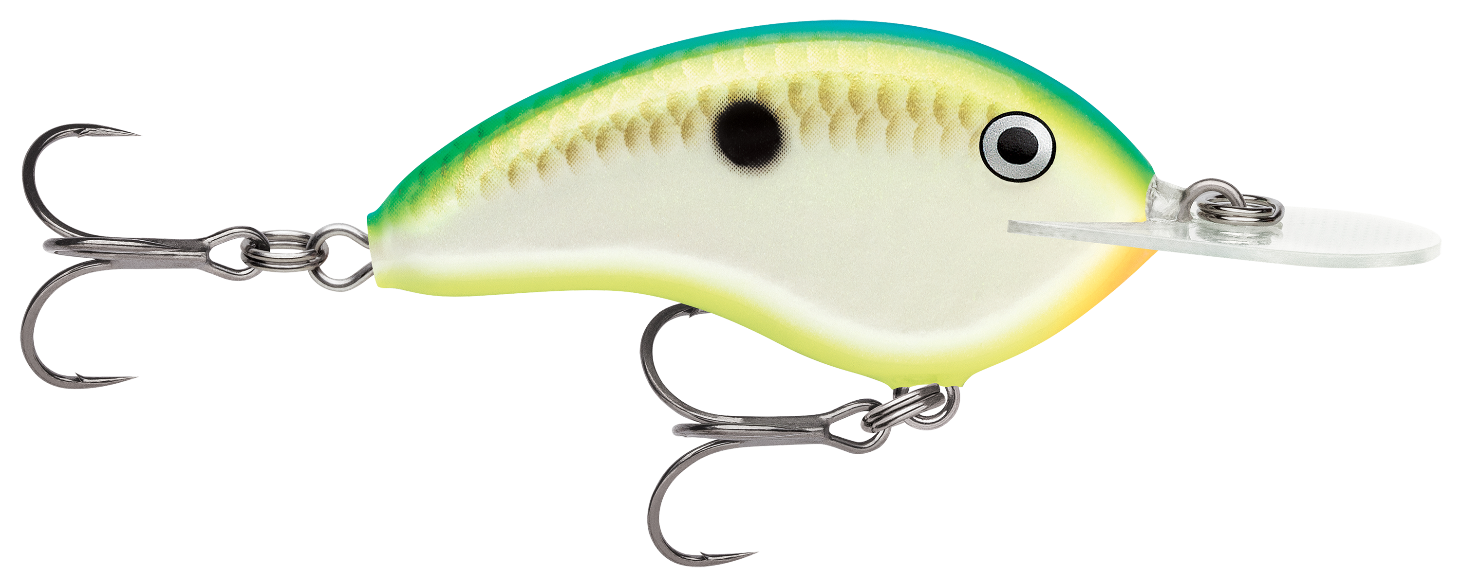 Image of Rapala Ott's Garage Series Deep Tiny Crankbait - Citrus Shad