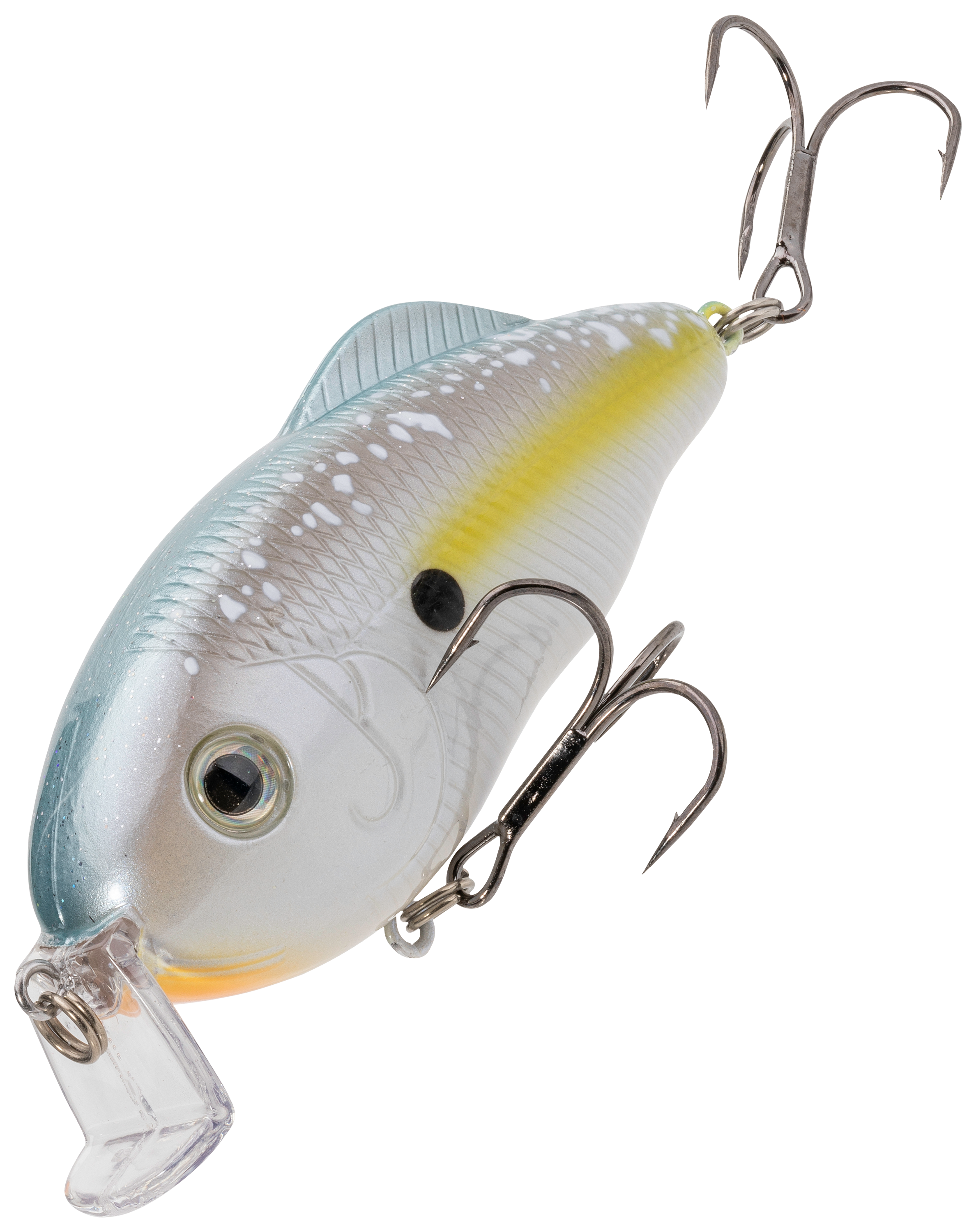 Hybrid Hunter/Clearwater Minnow : : Sports & Outdoors