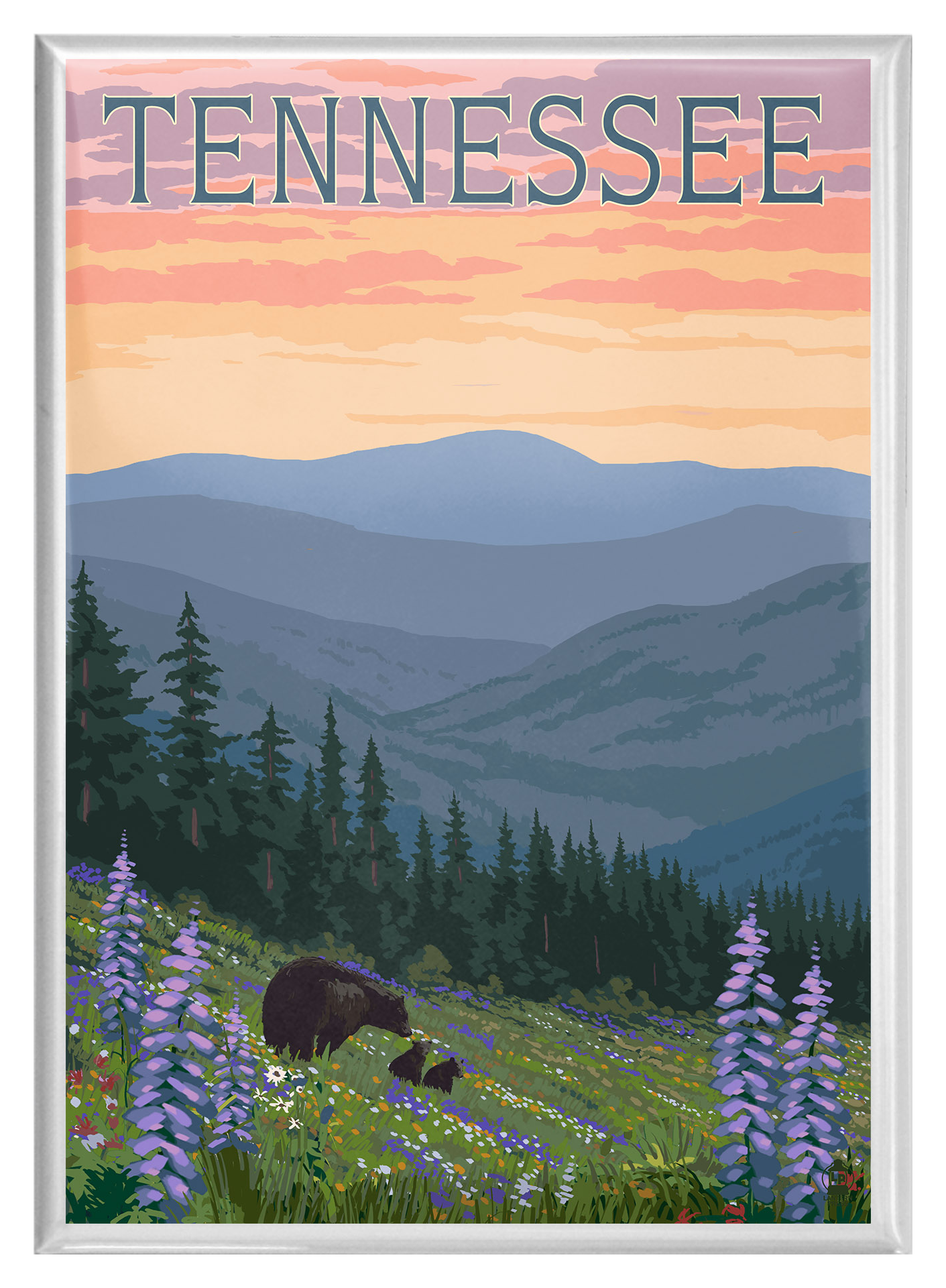 Image of Lantern Press Tennessee Bears Magnet