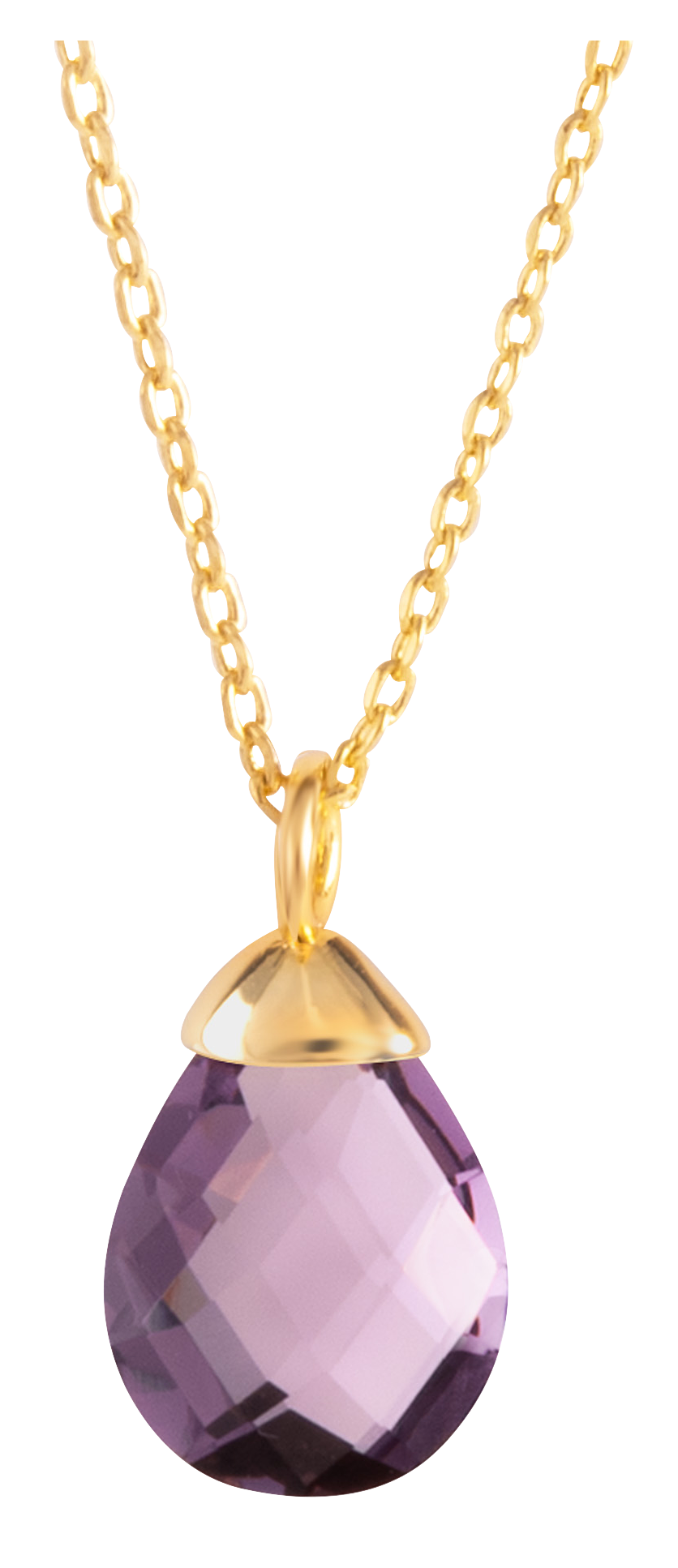 AMANDA BLU February Birthstone Charm Necklace