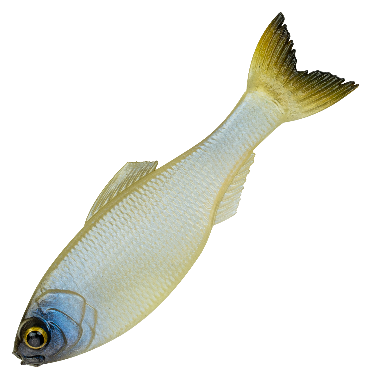 Image of "6th Sense Fishing Panorama Swimbait - Ghost Bone - 5"""